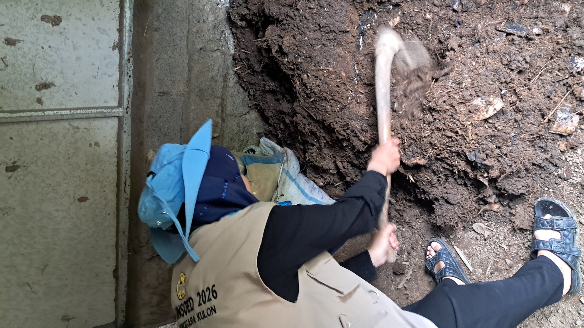 Pengecekan Pupuk Kotoran Hewan