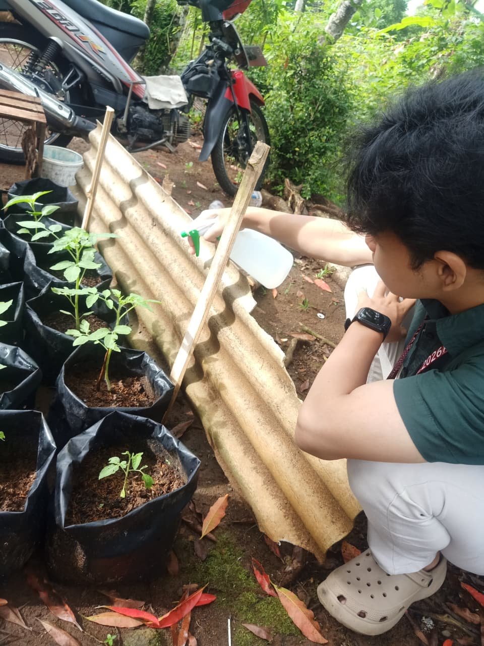 CONTROLLING INTENSIFIKASI PEKARANGAN