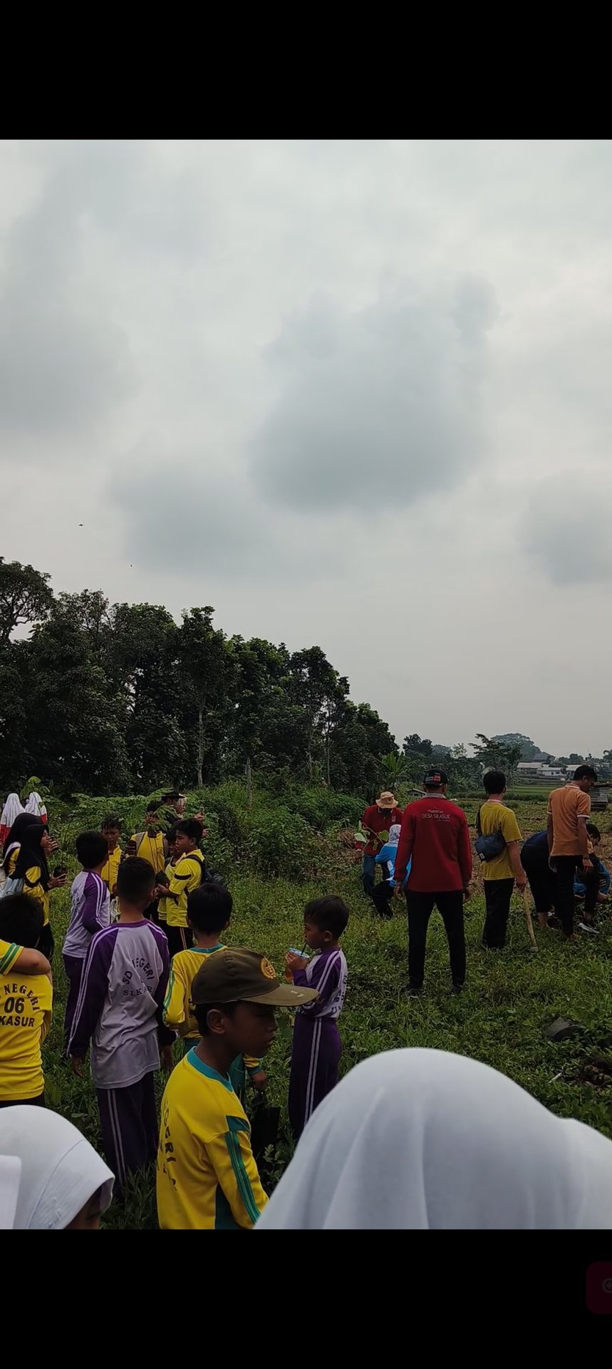 Hari ke 15 KKN Sikasur (penanaman pohon)