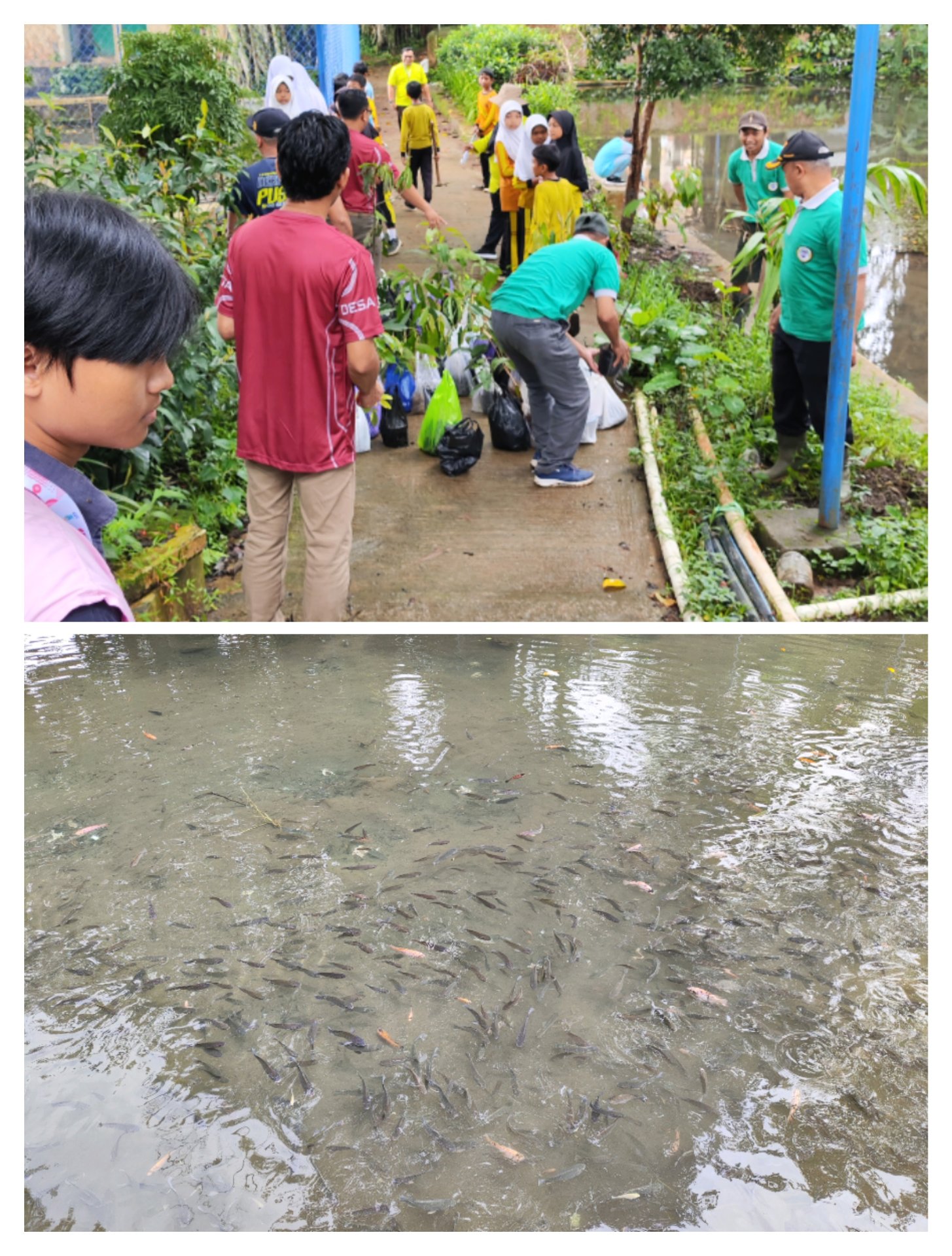 Topik : Penanaman Pohon dalam rangka HUT Pemalang & Mengunjungi Kolam Nila BUMDes, Rabu, 21 Januari 2026