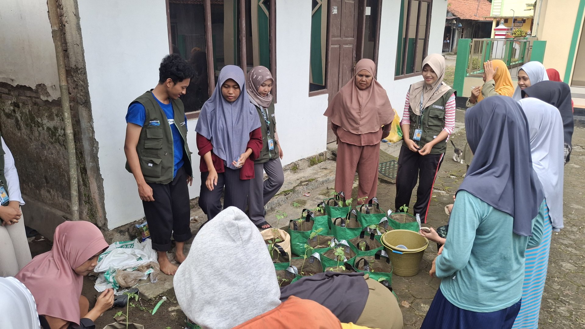 Intensifikasi Pekarangan