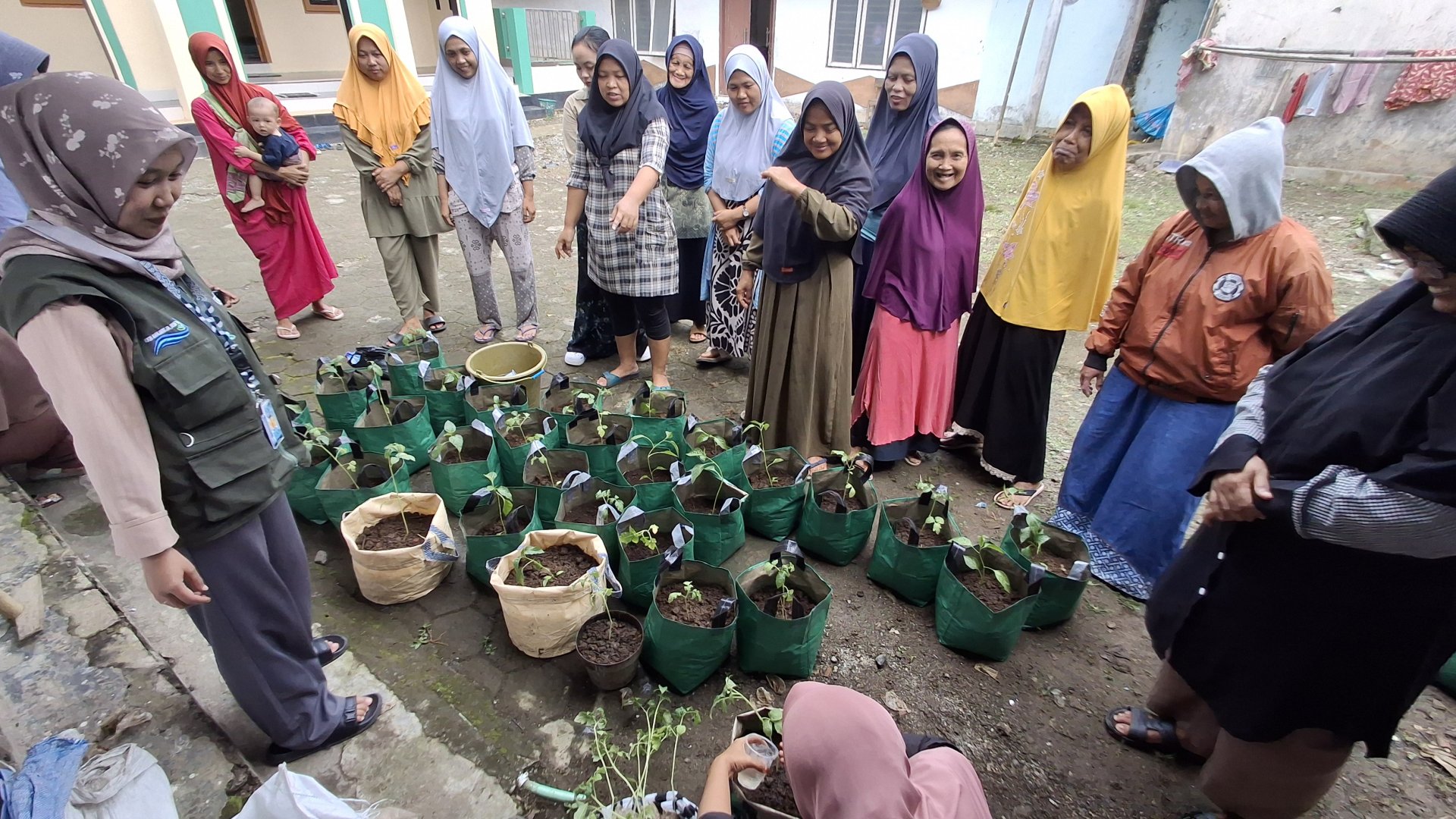 Day 15 - Program Lingkungan