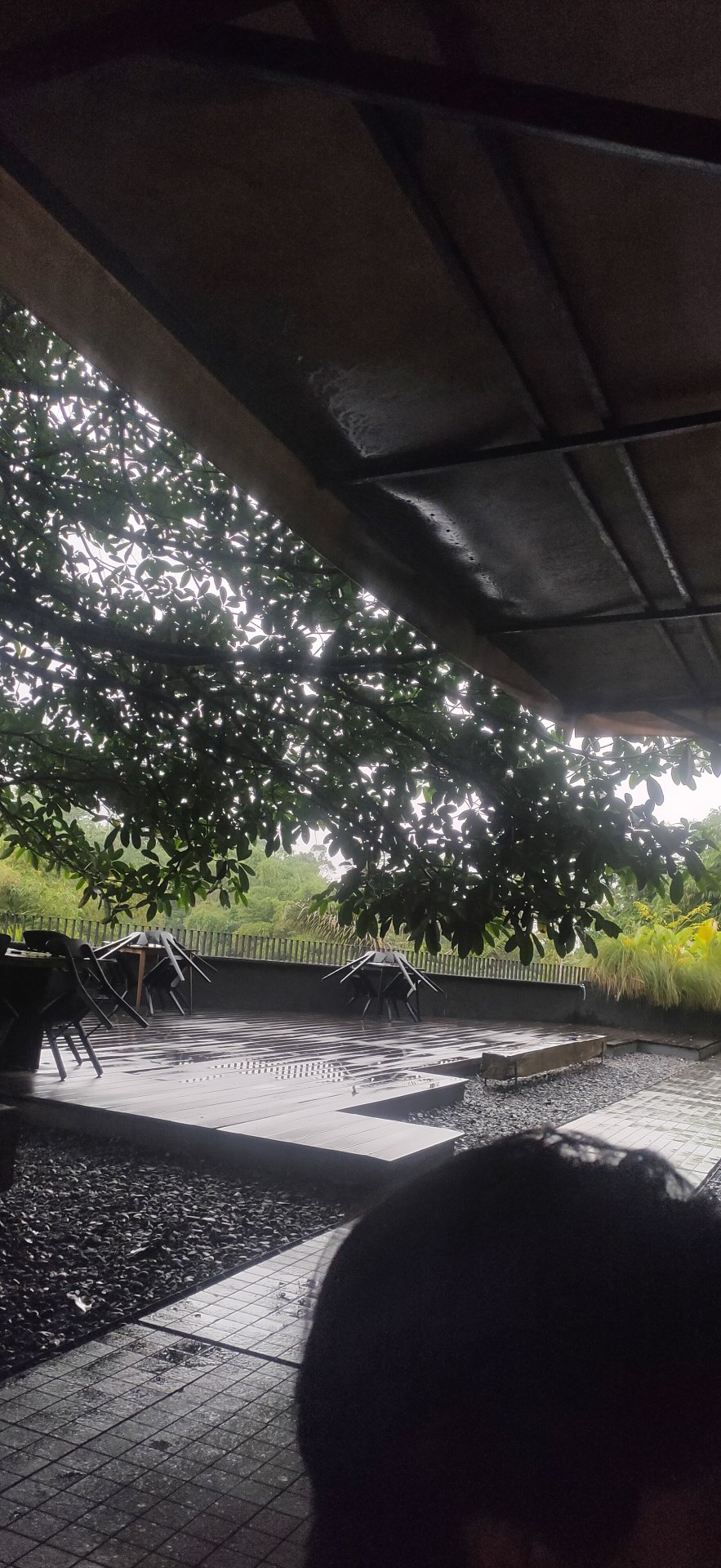 Project Gumelar Berdampak - Day 15