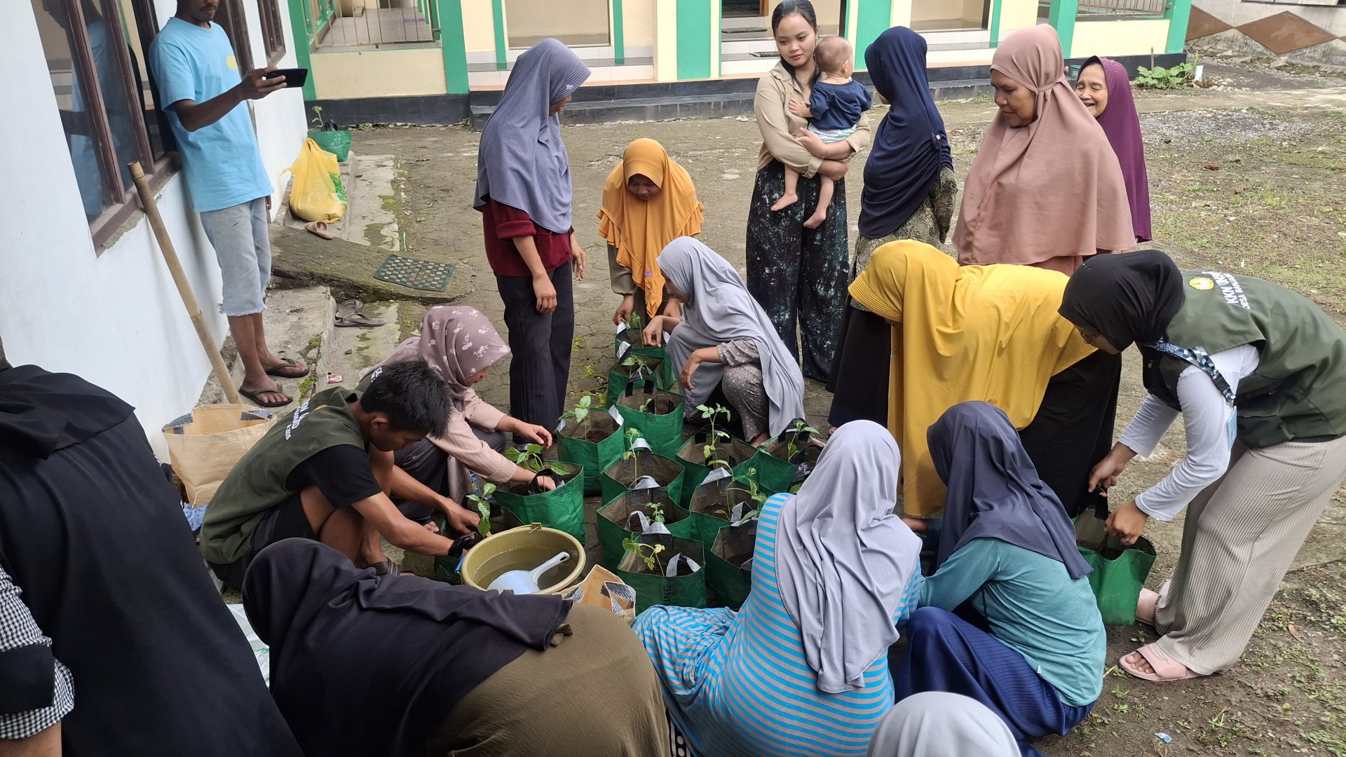 Sosialisasi pekarangan