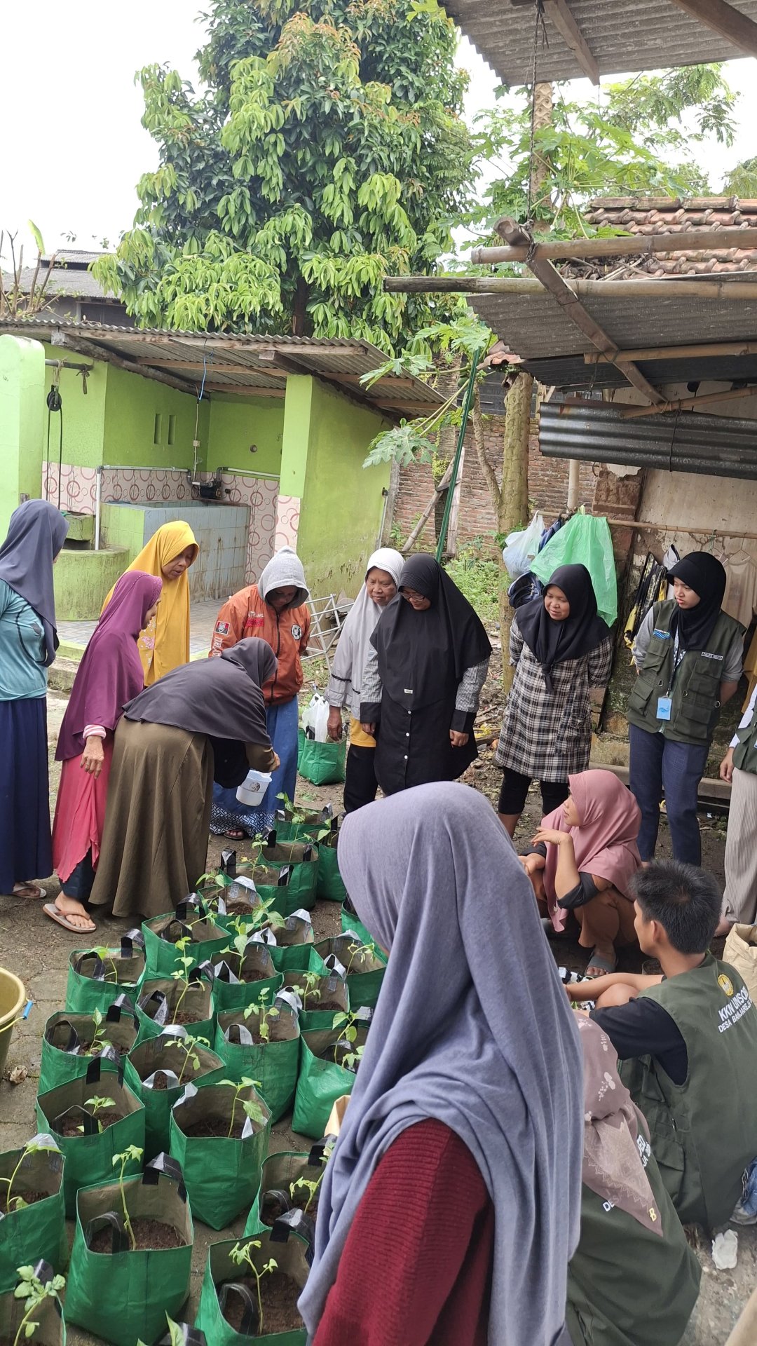 Intensifikasi Pekarangan