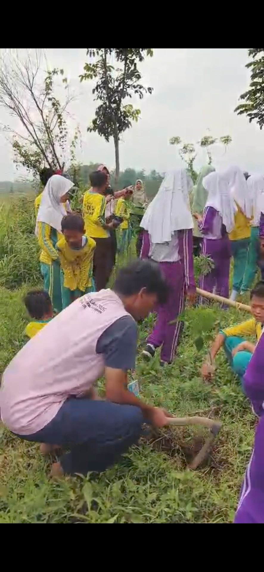 Menanam pohon untuk mencegah erosi