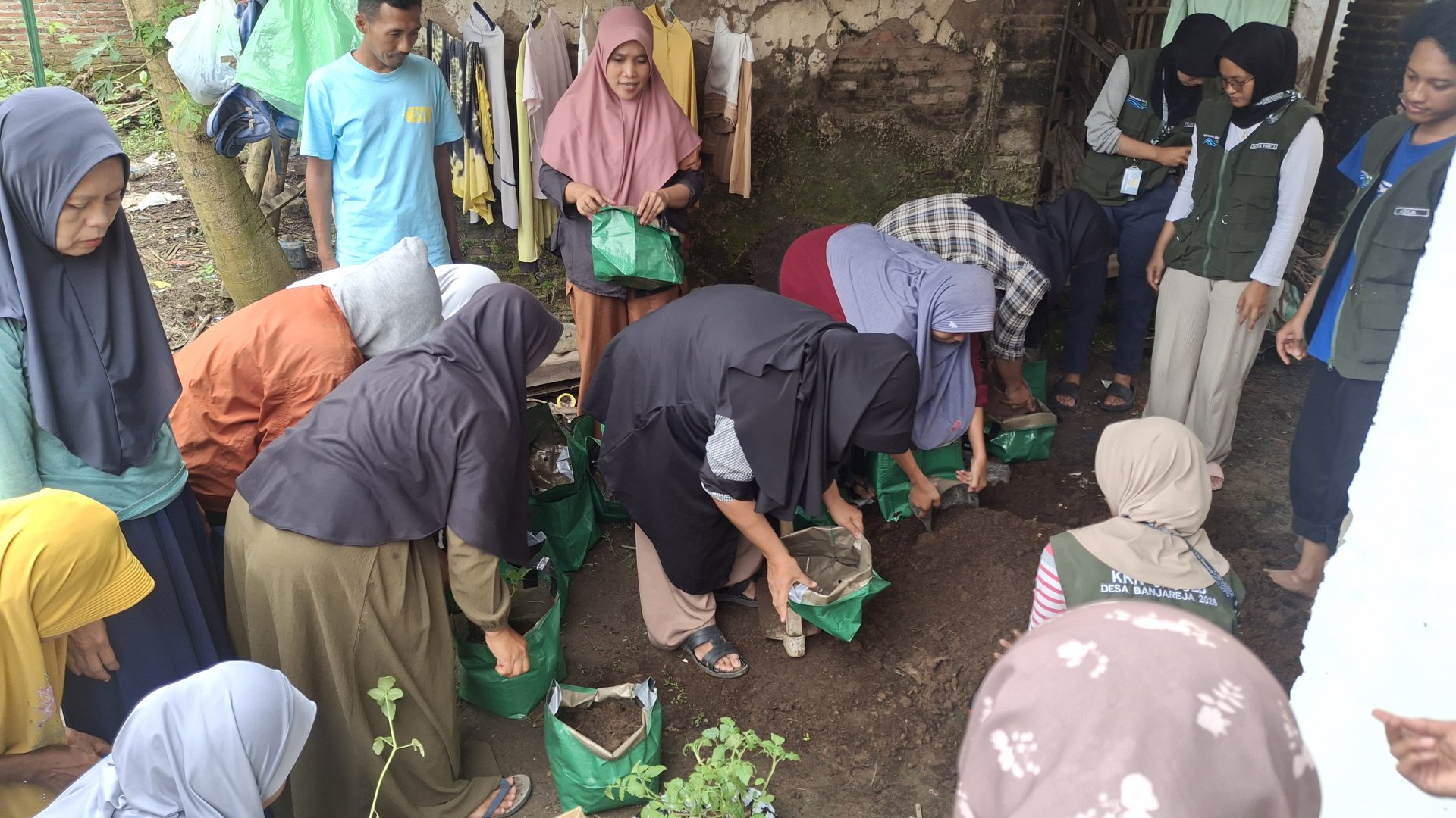 Intensifikasi Pekarangan: Penanaman Tanaman Hortikultura