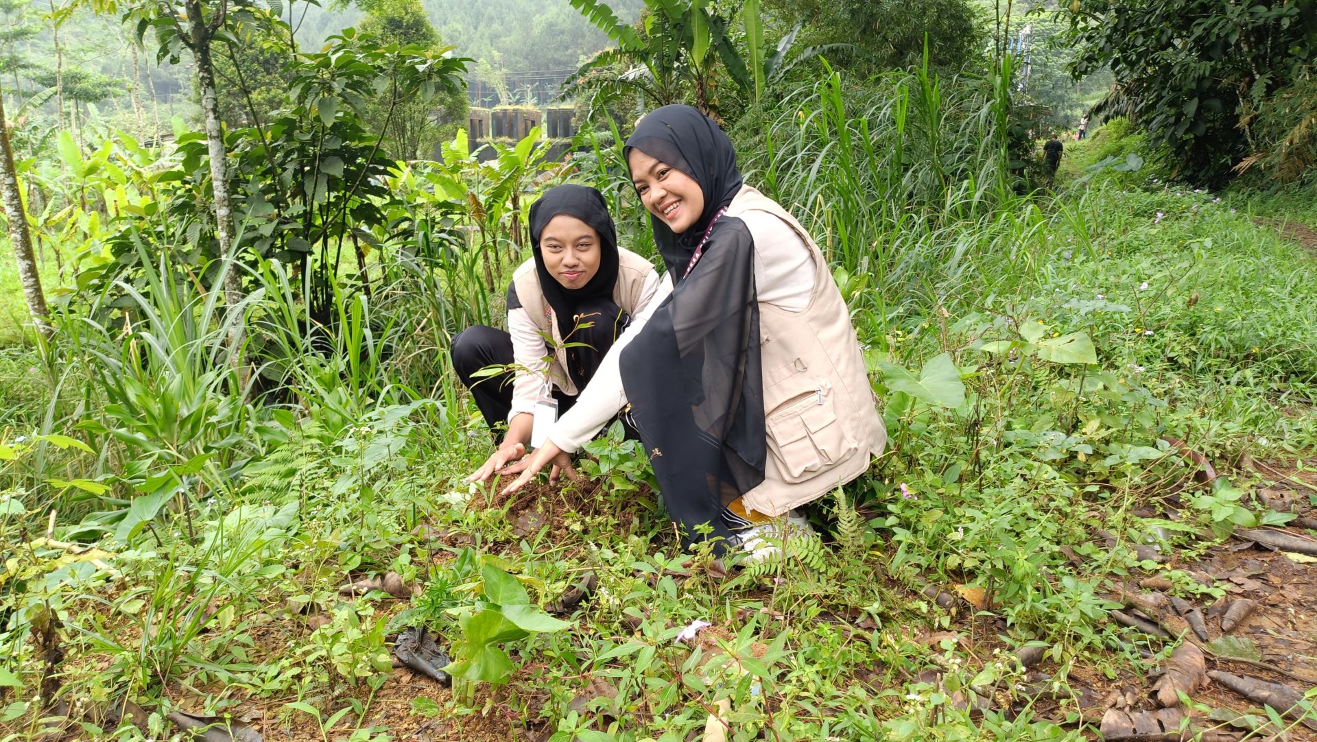 PENANAMAN POHON SERENTAK MEMPERINGATI HARI JADI PEMALANG KE 451