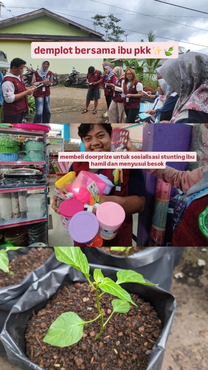 day 15 sosialiasi demplot kepada ibu pkk