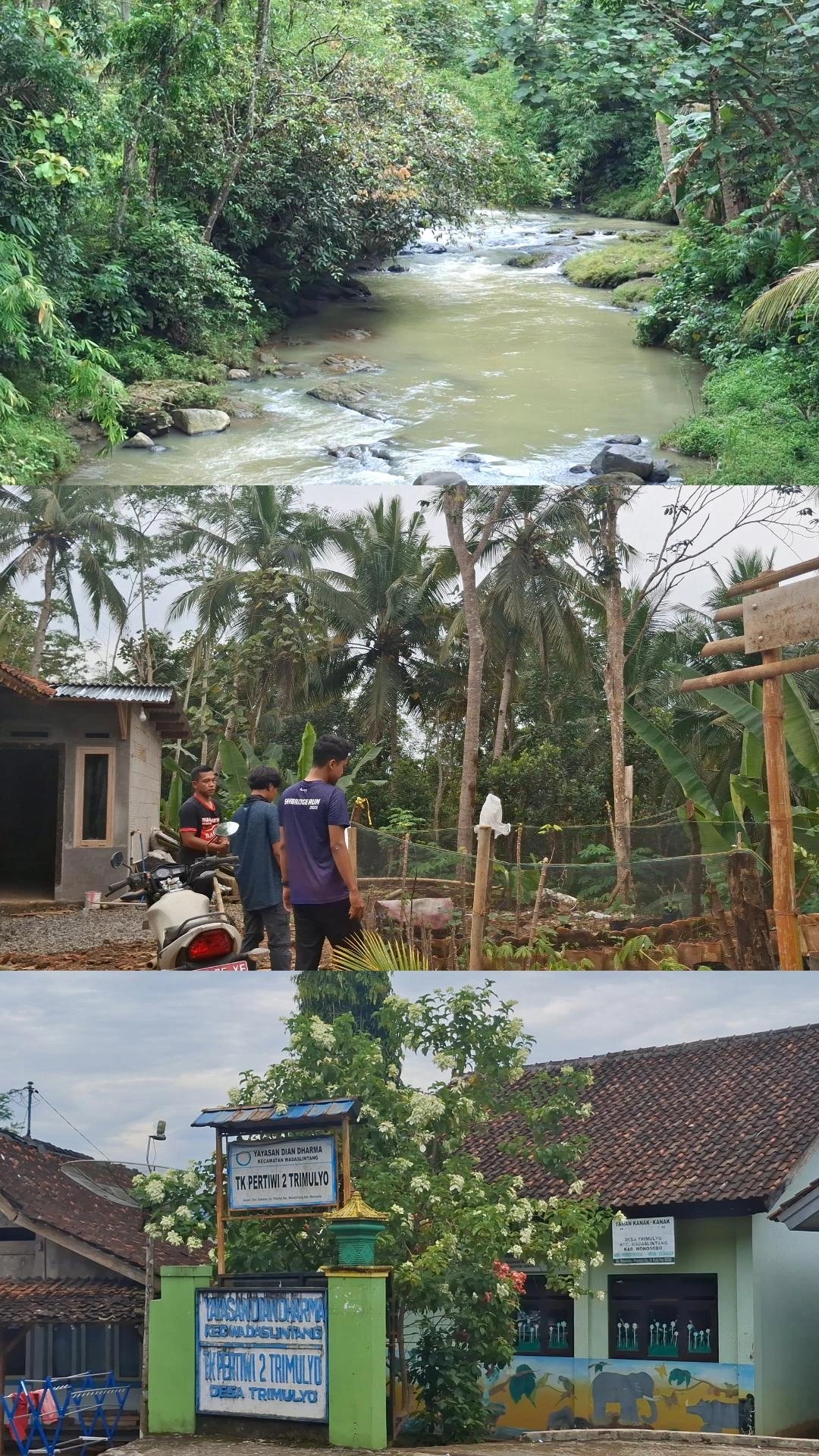 Menelusuri desa Trimulyo untuk profil desa dan membantu penghiasan mini garden