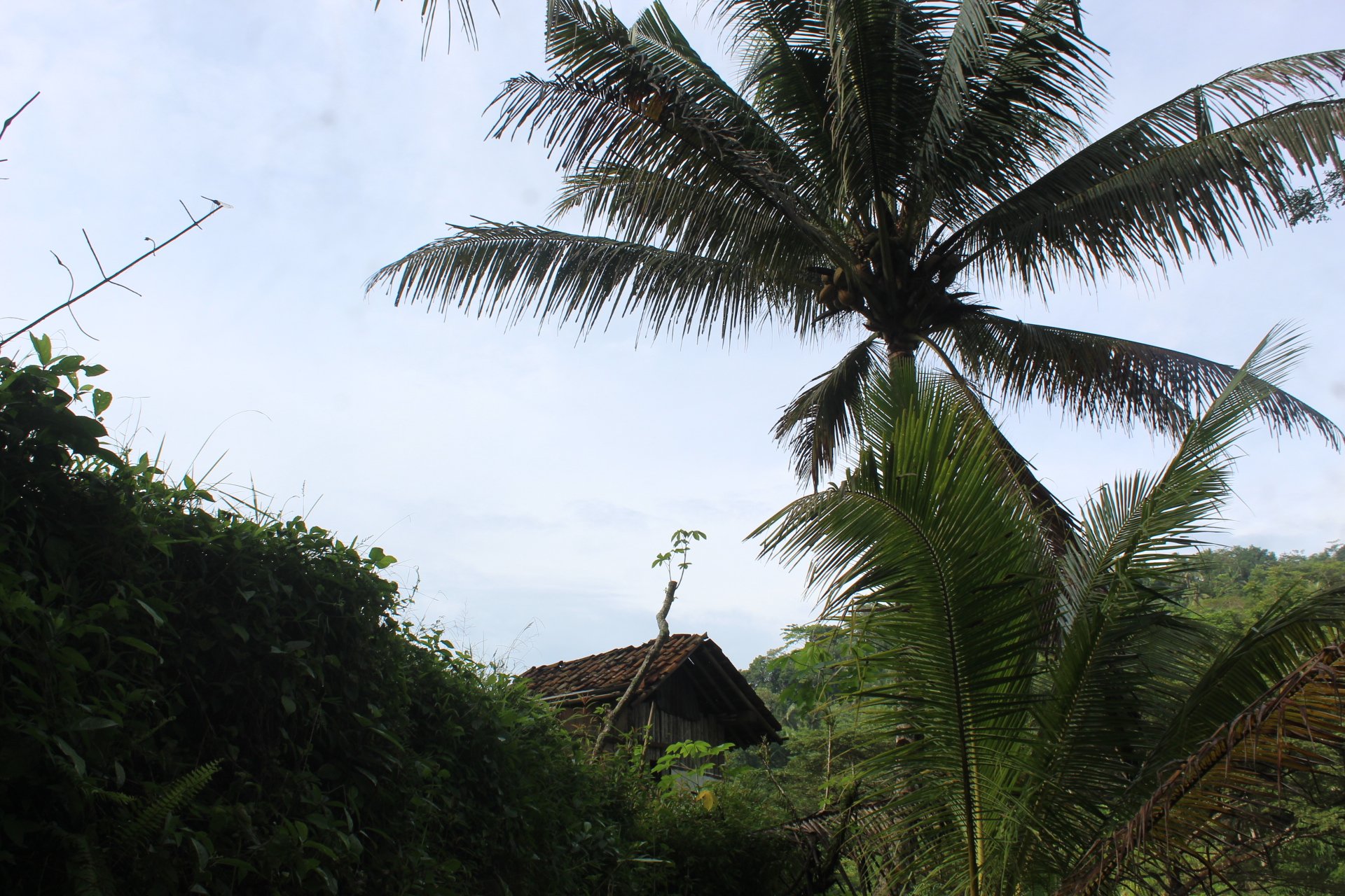 Ungkap Potensi Tersembunyi Desa: Dengan Melihat Alam dan Mengunjungi UMKM di Desa Tirip.
