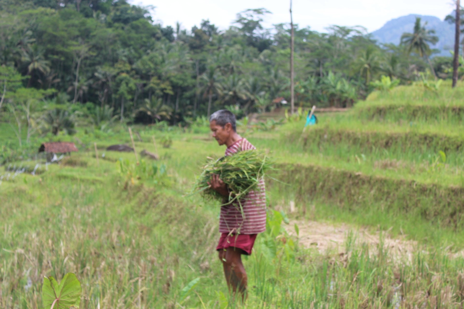 Menggali Potensi Desa melalui Penelusuran Lokasi Pengambilan Video Profil Desa