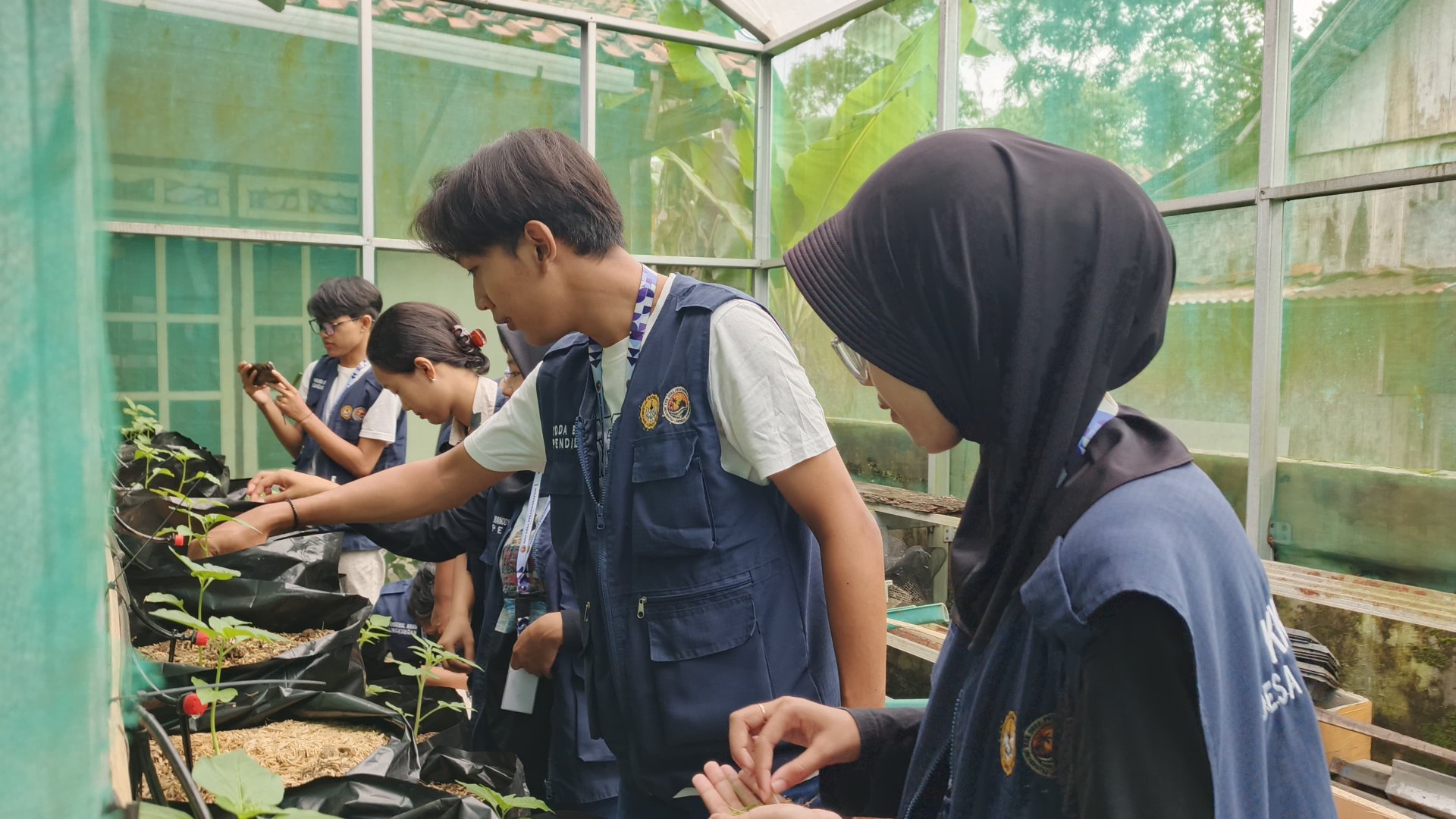 Kegiatan Hari ke 16 | Bagian 2 : Demplot Pertanian