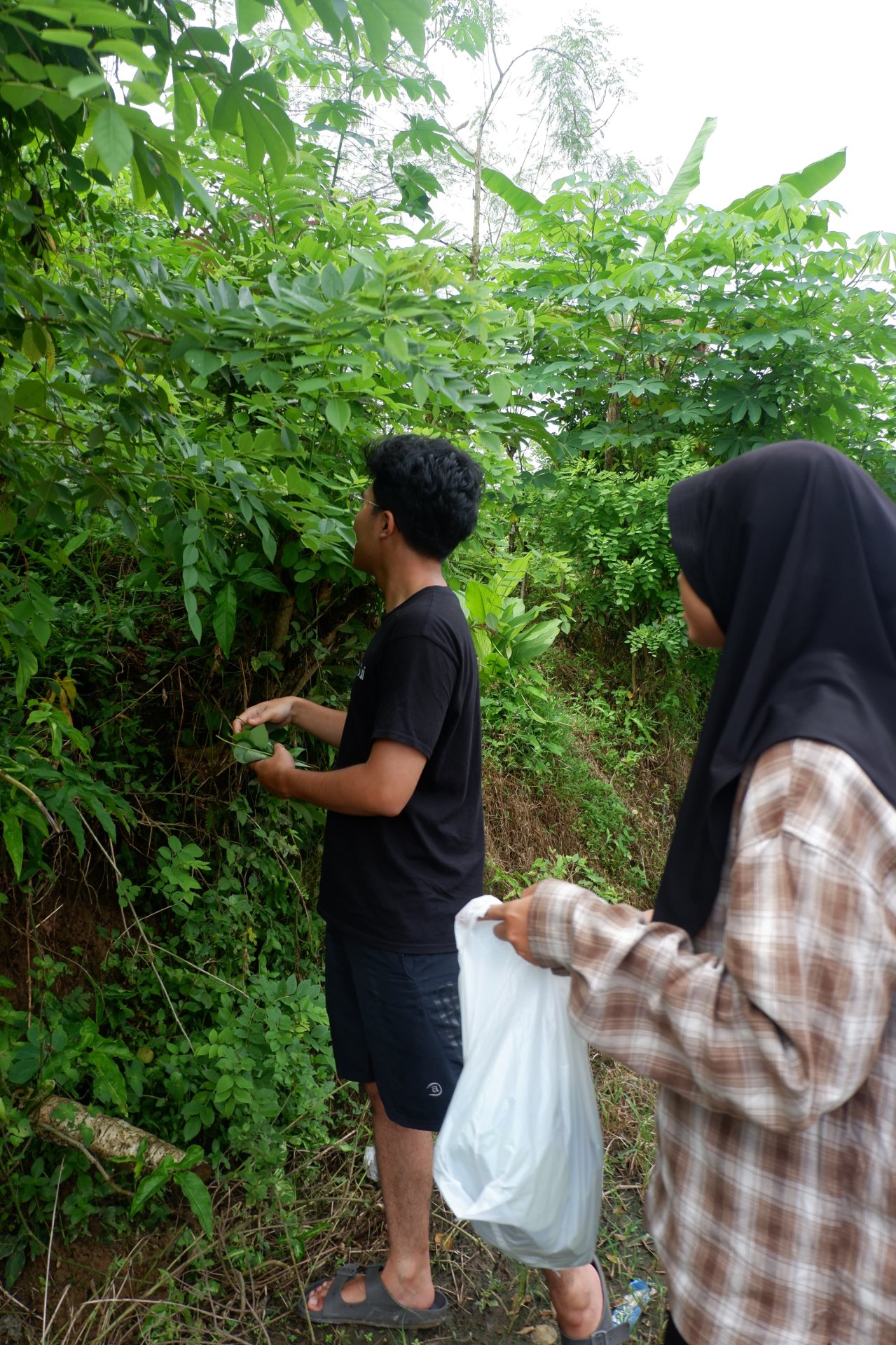 Persiapan Bahan Program Kerja Lingkungan