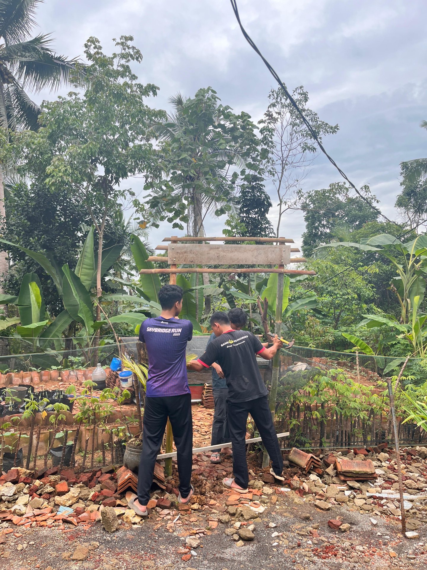 Membuat mini perkebunan