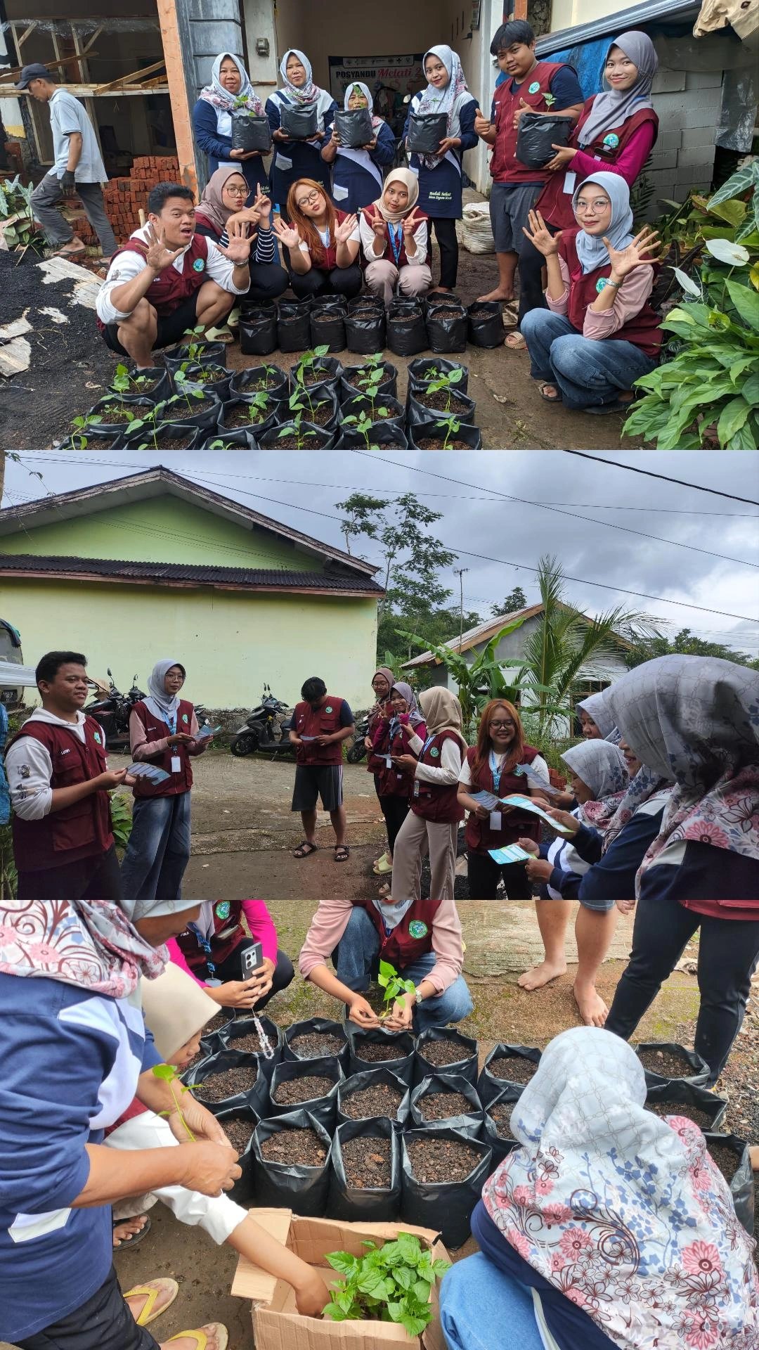 Penyuluhan dan Optimalisasi Lahan Pekarangan Melalui Penanaman Sayur-Sayuran