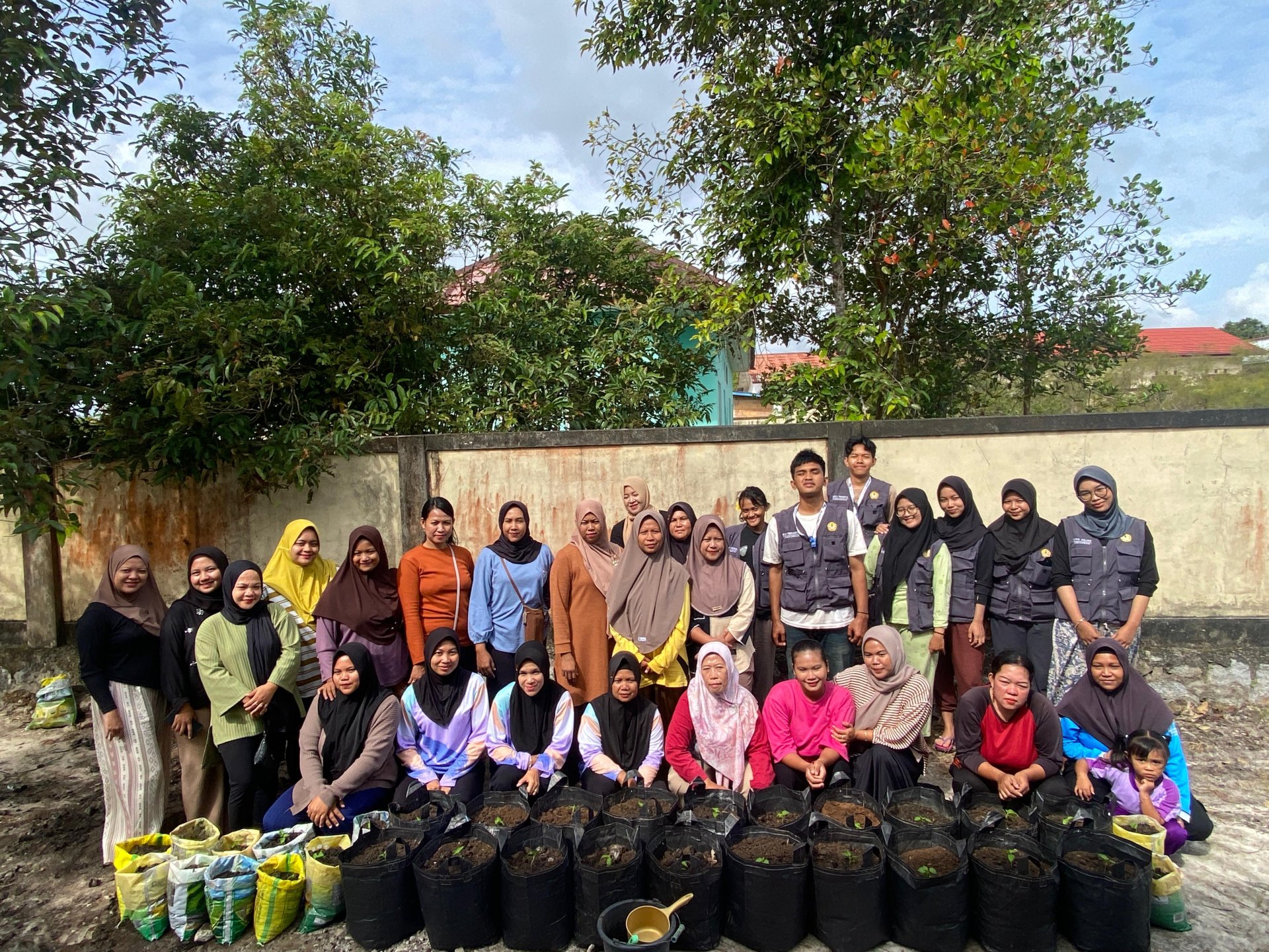 Intensifikasi Pekarangan Cabai