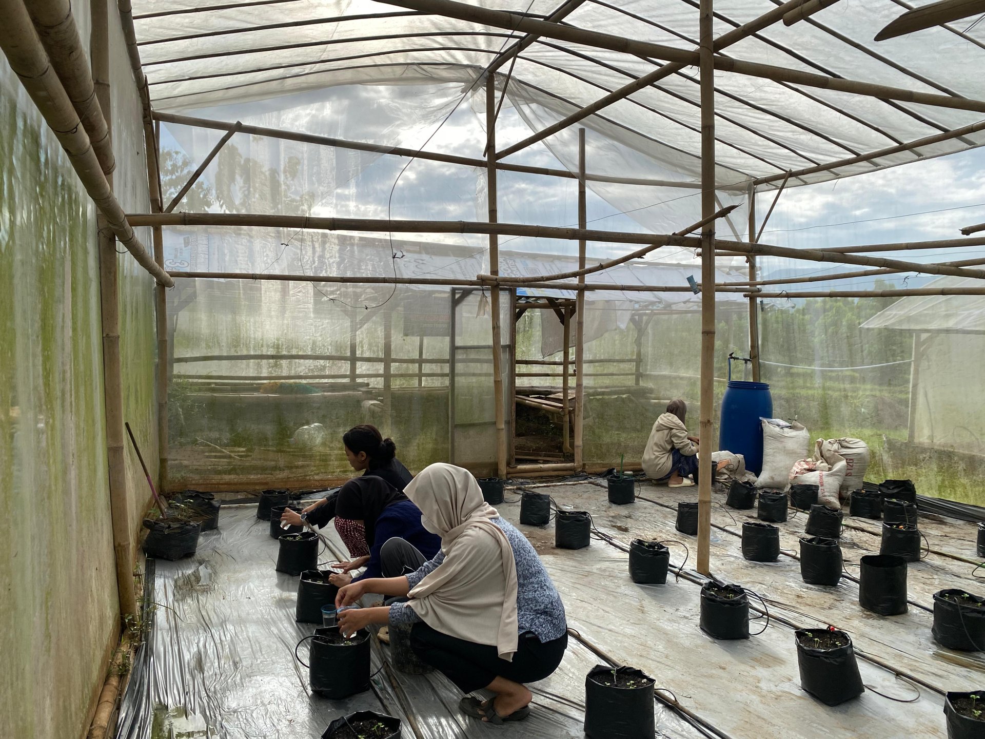 Hari ke-17 KKN: Kegiatan Greenhouse, Pengajian, dan Bimbel Anak SD
