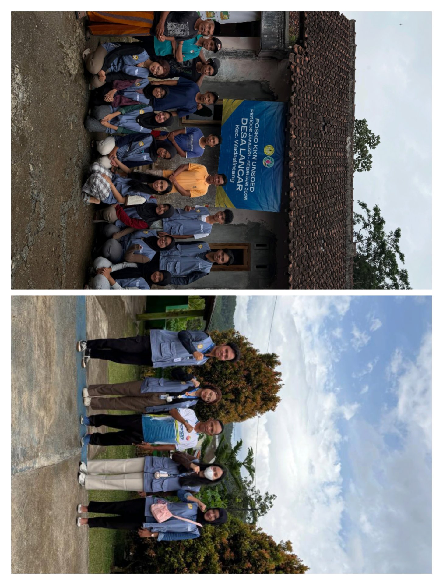 Budidaya Azolla Sebagai Solusi Pakan Ternak Bergizi