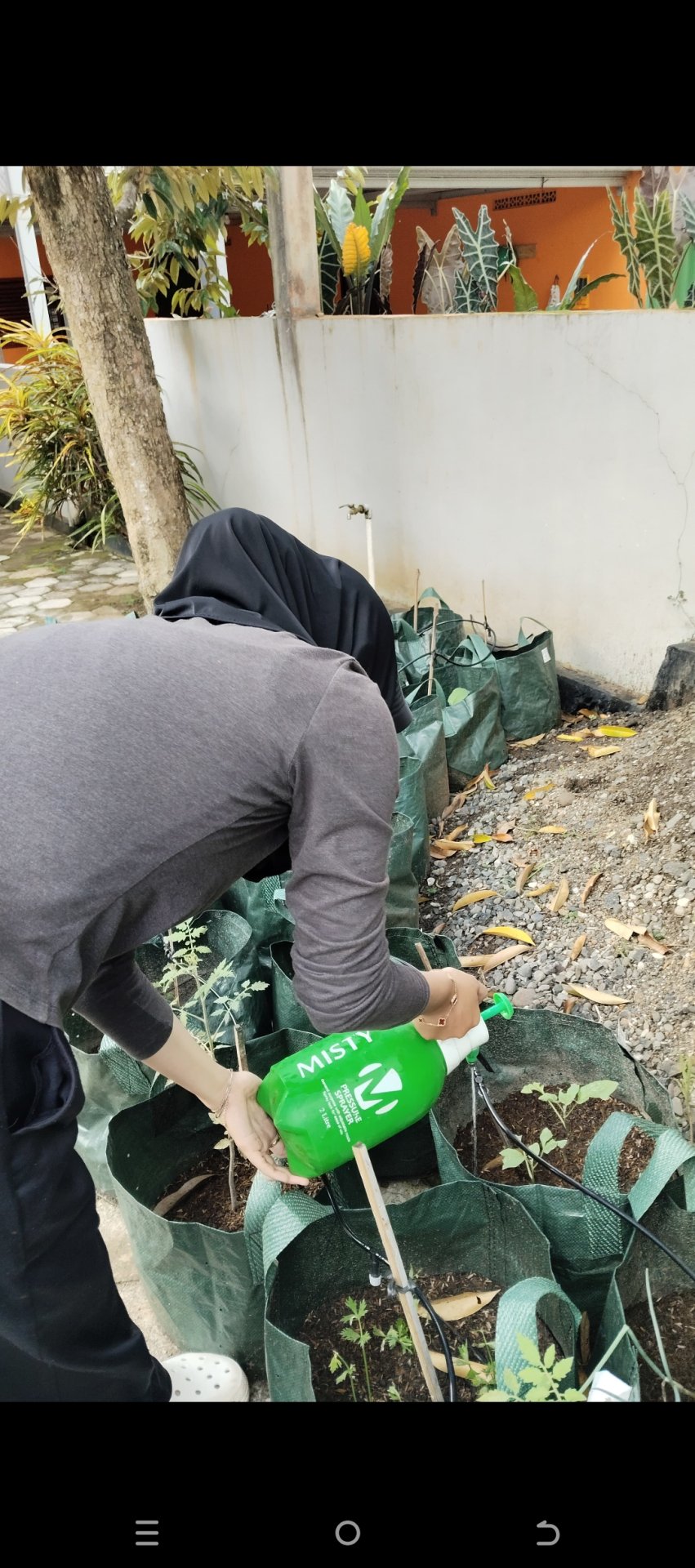 Hari 17.18 (Inovasi Lingkungan Berkelanjutan dan Pendampingan Kegiatan Kepramukaan)