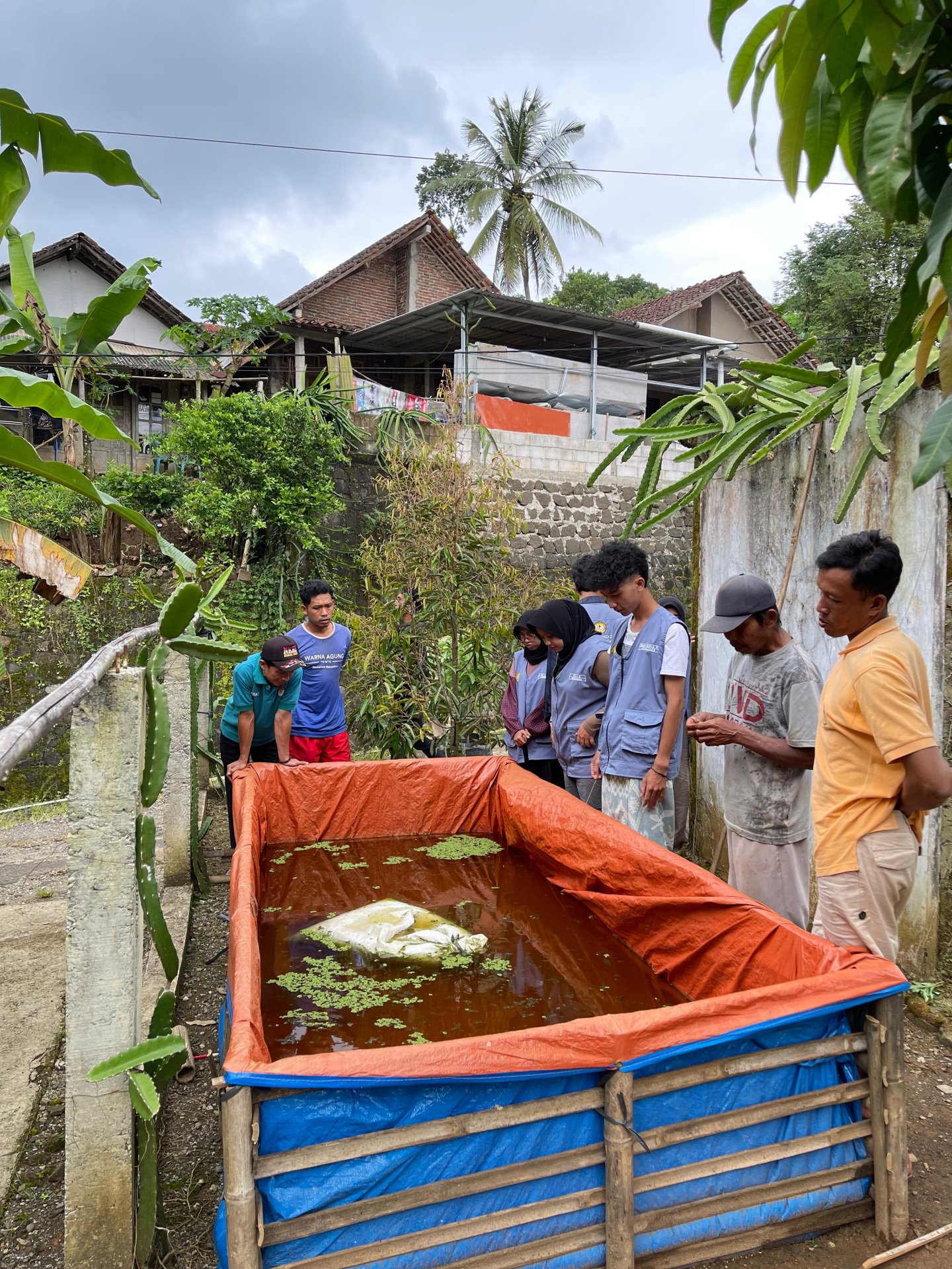 Pengenalan Azola ke Kelompok Tani