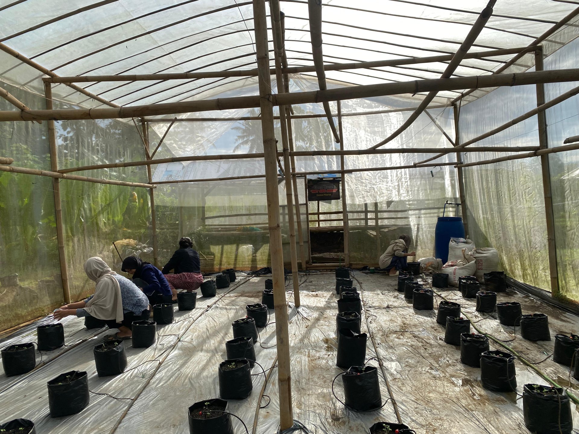 Day 17! Penyiraman Pakcoy, Pengajian, Bimbingan Belajar dan Kunjungan