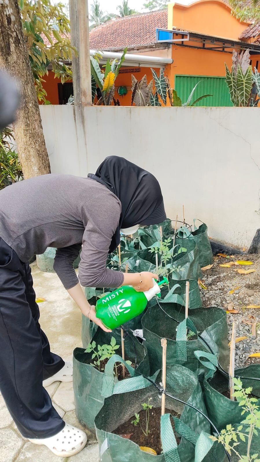 Hari 17.18 (Inovasi Lingkungan Berkelanjutan dan Pendampingan Kegiatan Kepramukaan)