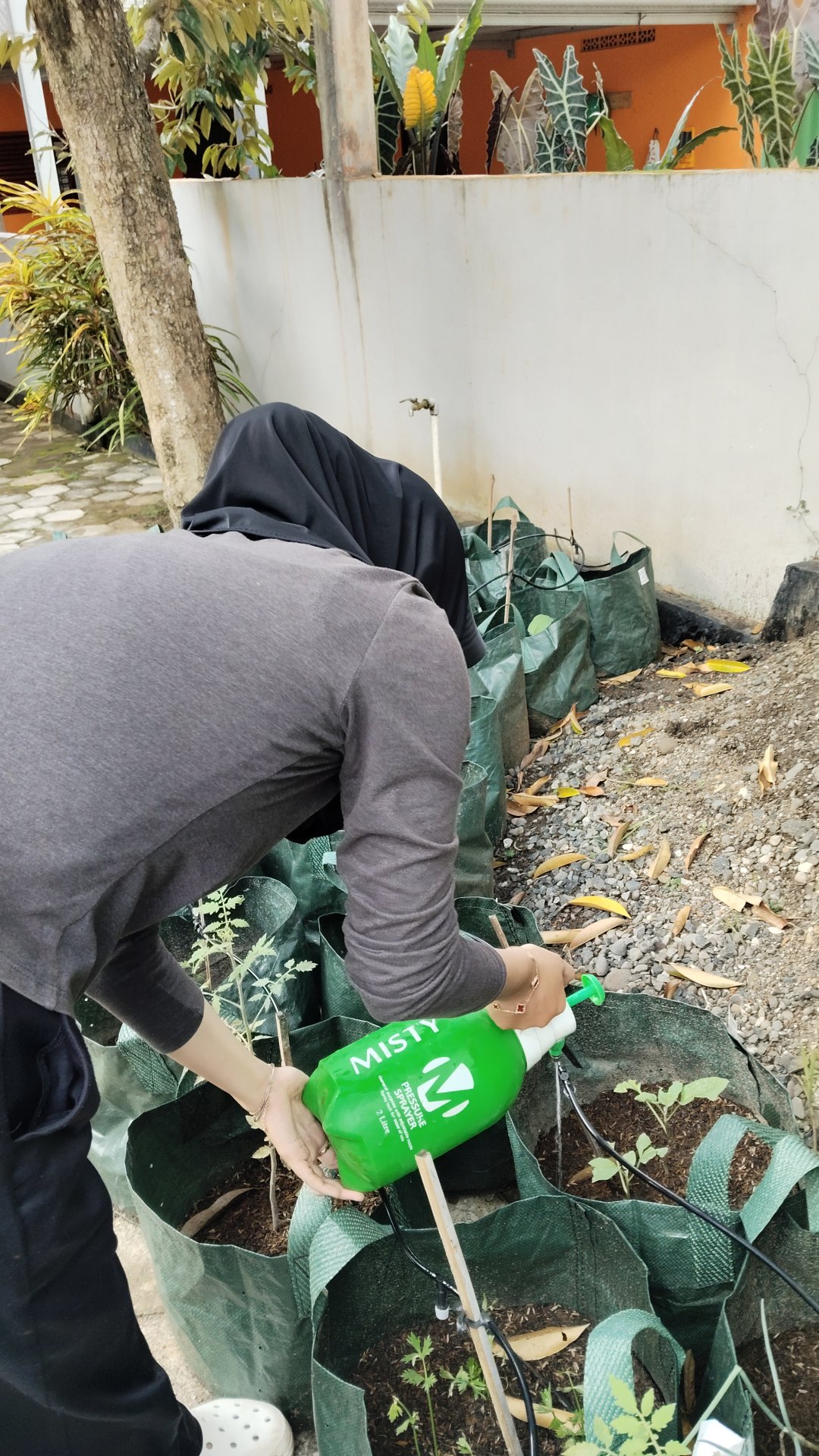 Hari 17.18 (Inovasi Lingkungan Berkelanjutan dan Pendampingan Kegiatan Kepramukaan)