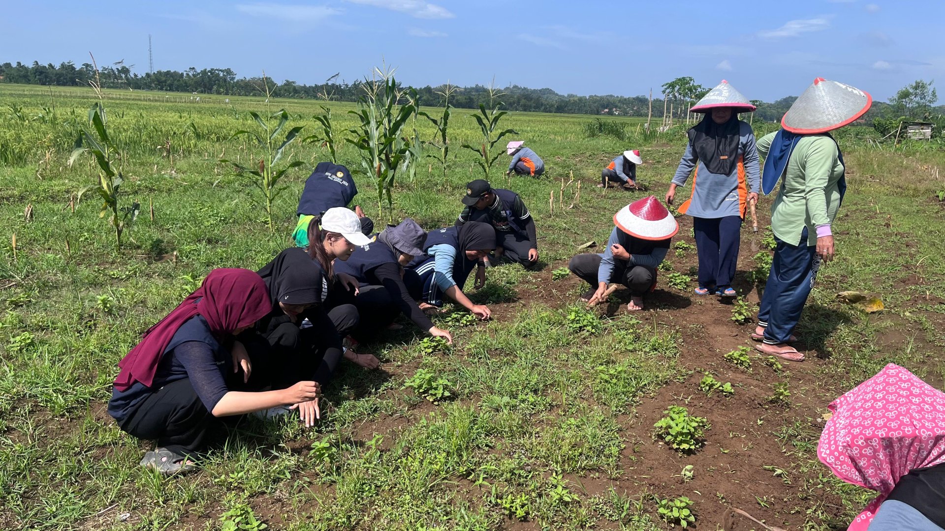 Sanitasi Lahan bersama Kelompok Wanita Tani