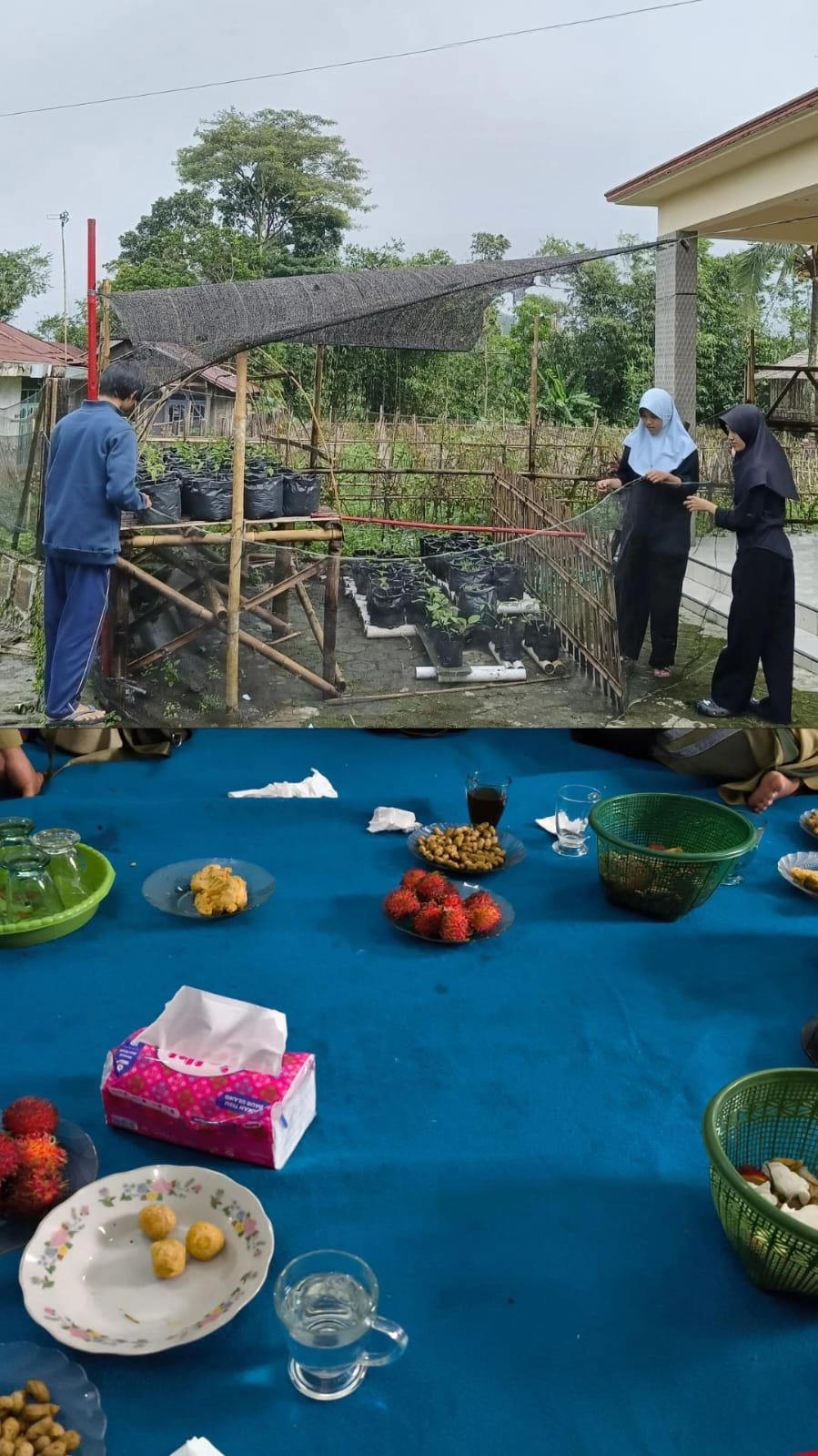 Day 18_Topik: Pemasangan Paranet, Pemupukan, dan Pengajian