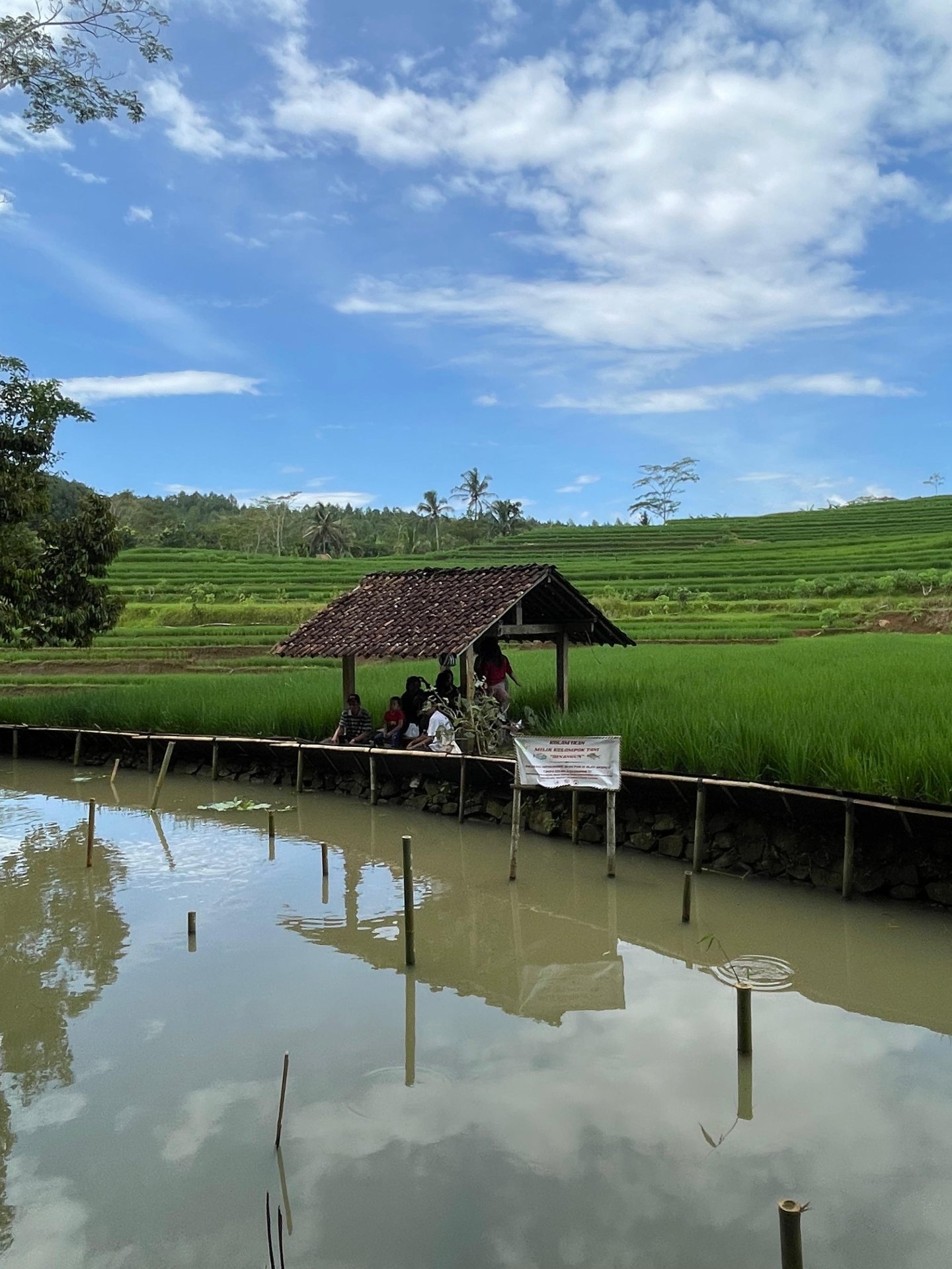 Mengunjungi Kolam Ikan Kelompok Tani Dusun Binangun