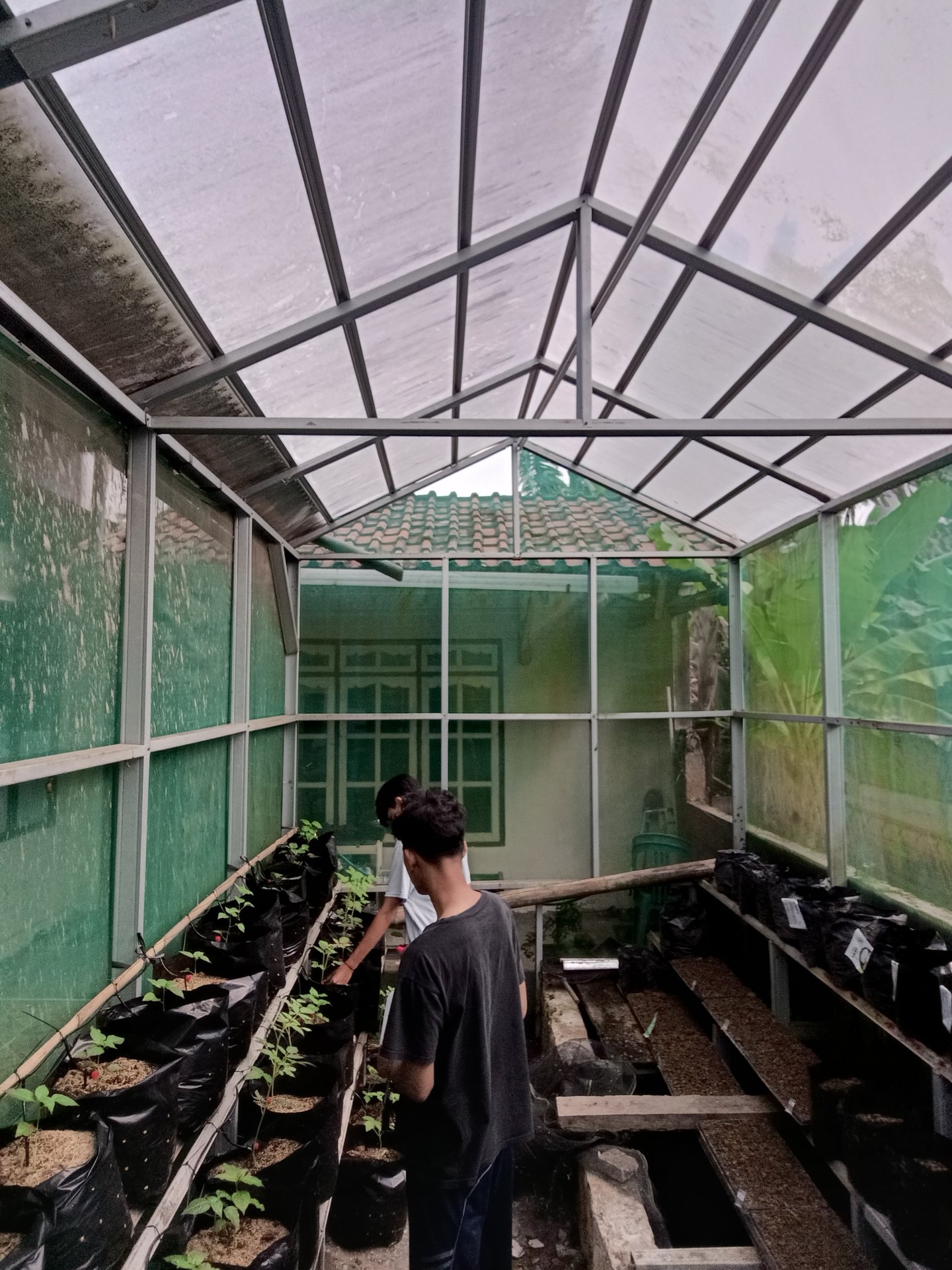 Kegiatan Hari Ke 18 | Demplot Pertanian