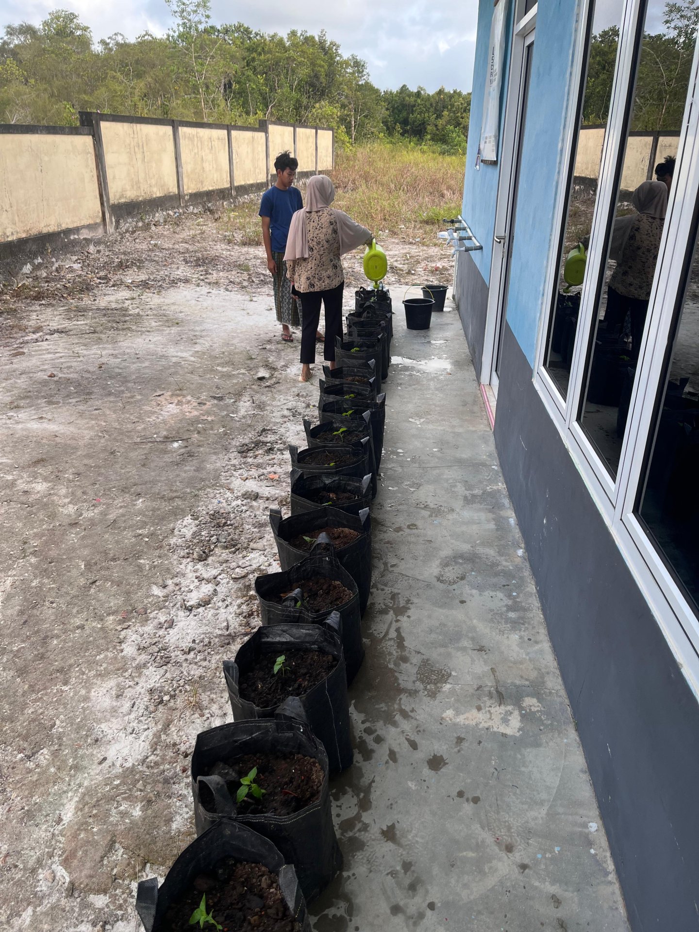 Perawatan Demplot dan Persiapan Kegiatan Program Kerja KKN Desa Cendil