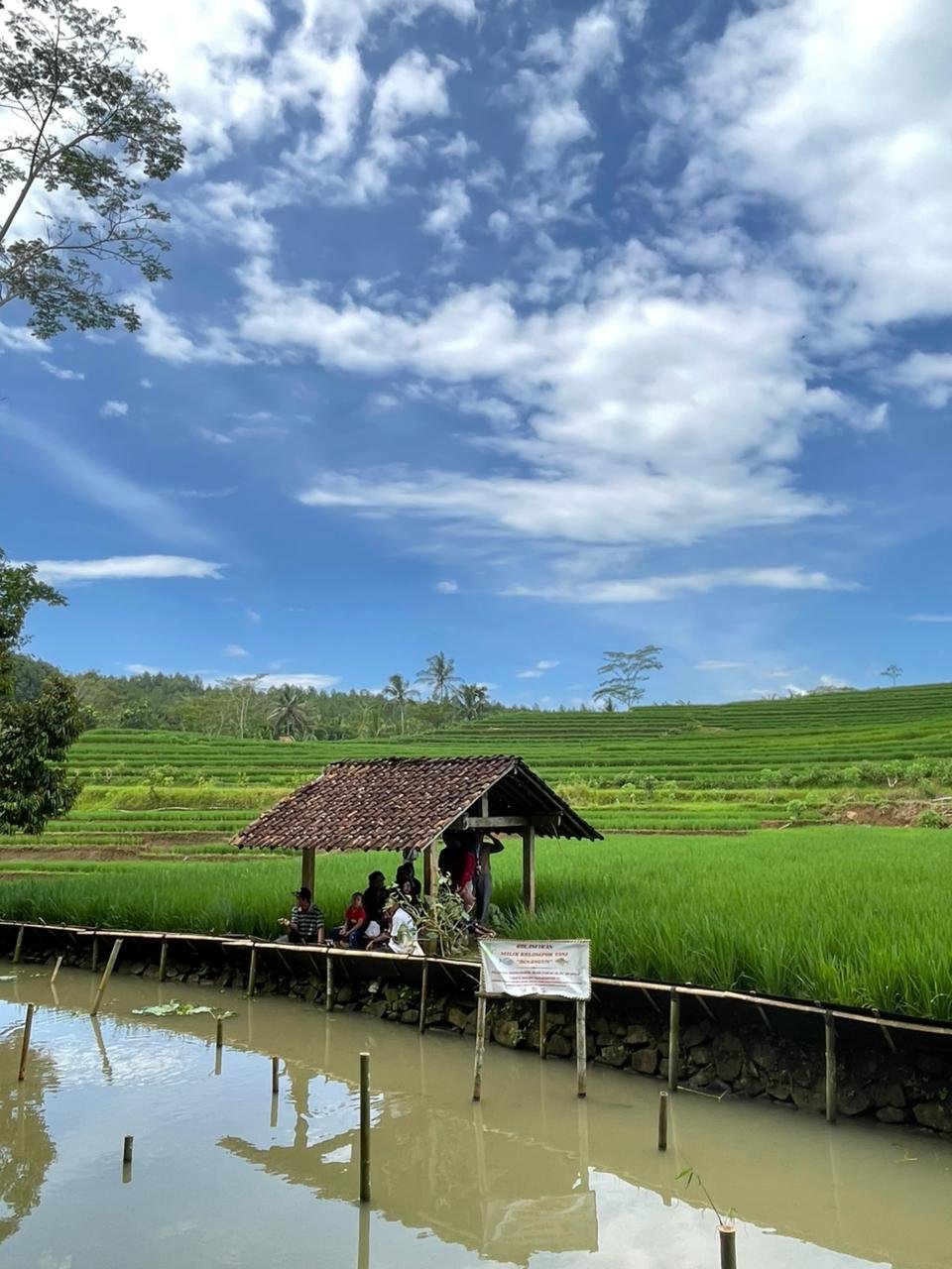 Mahasiswa KKN UNSOED 2026 Desa Lancar Laksanakan Pemberian Pakan Ikan Dusun Binangun