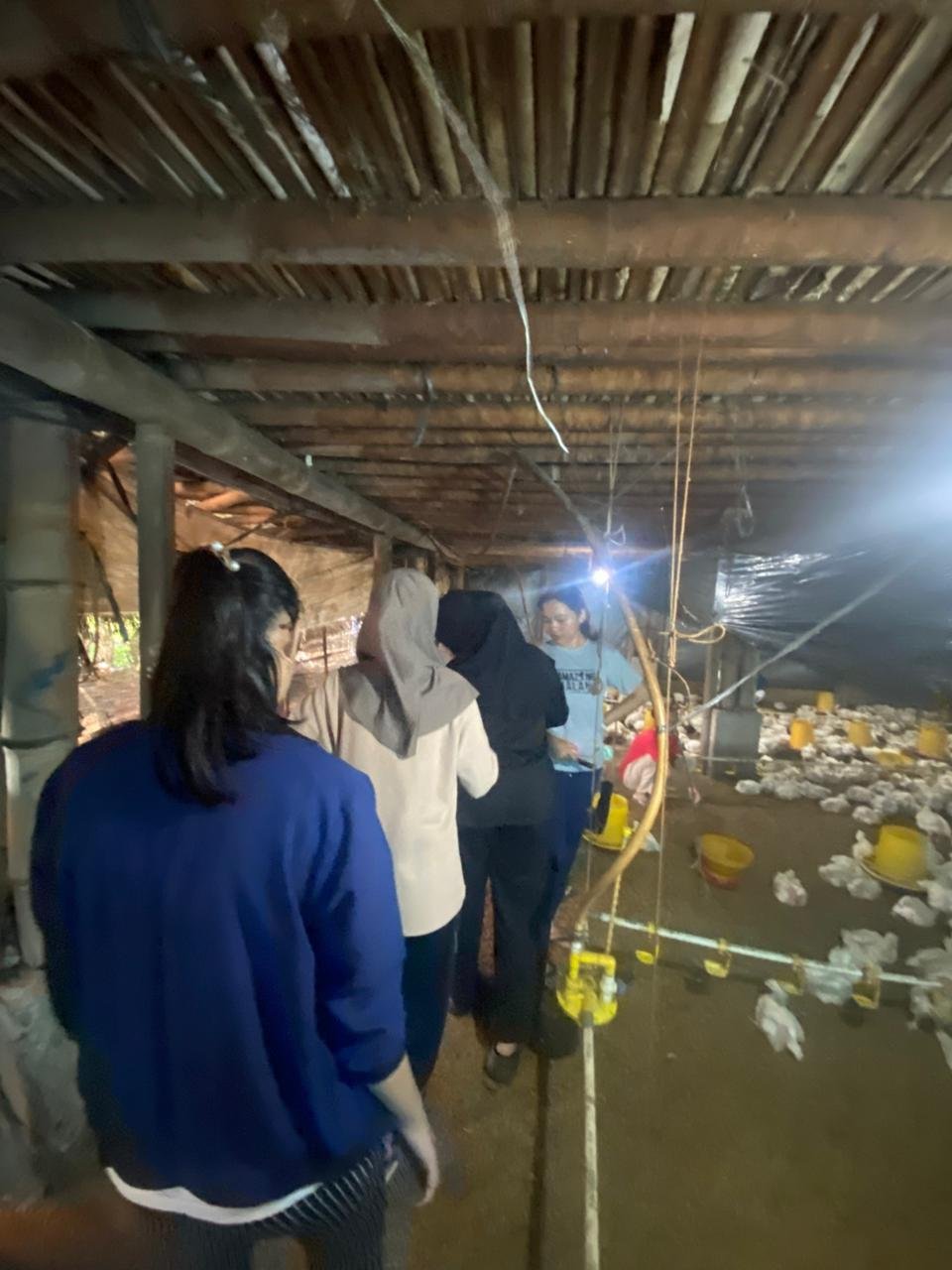 Kegiatan KKN Unsoed di Desa Plana pada Hari Ke-18