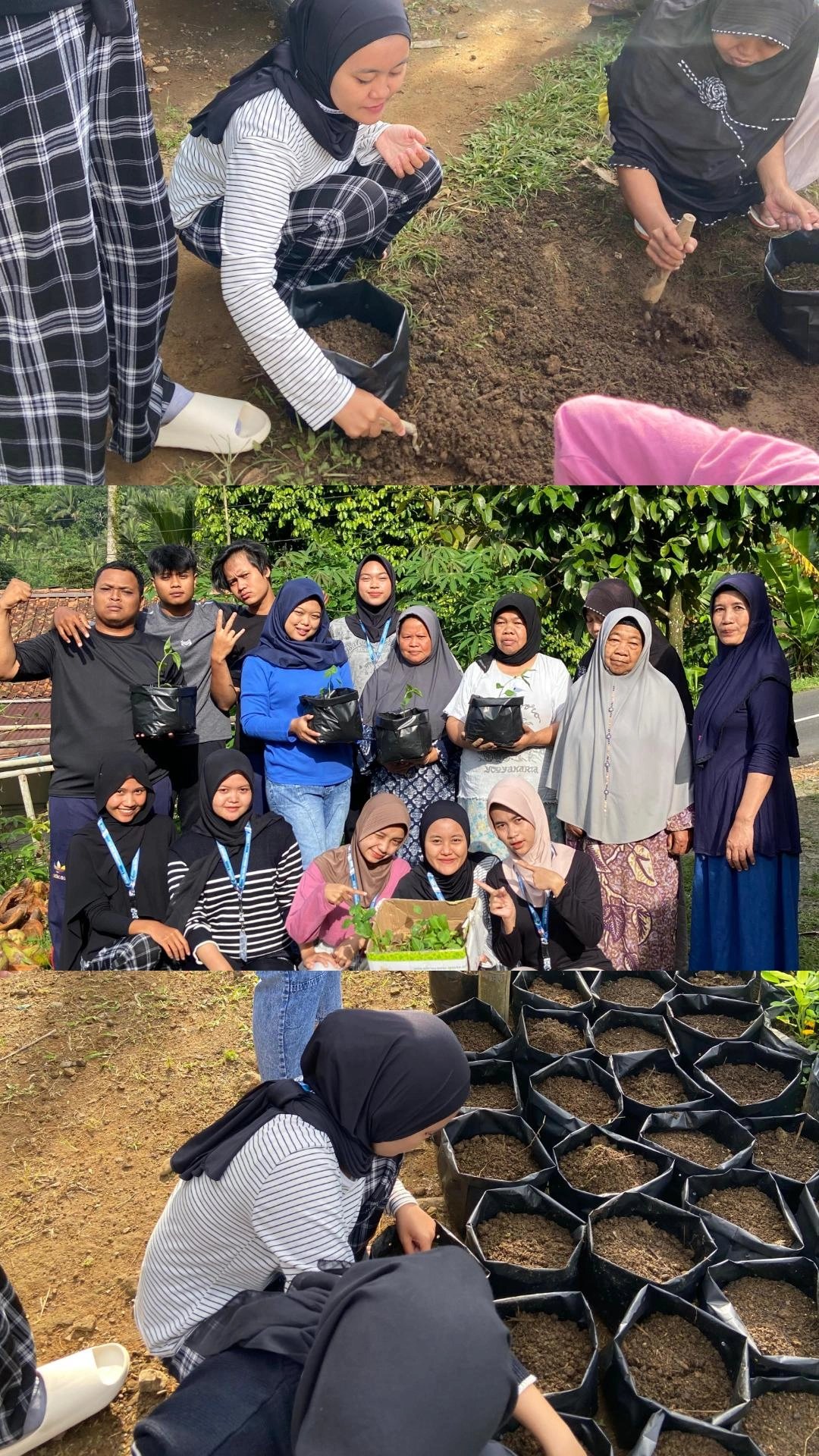 intensifikasi penanaman