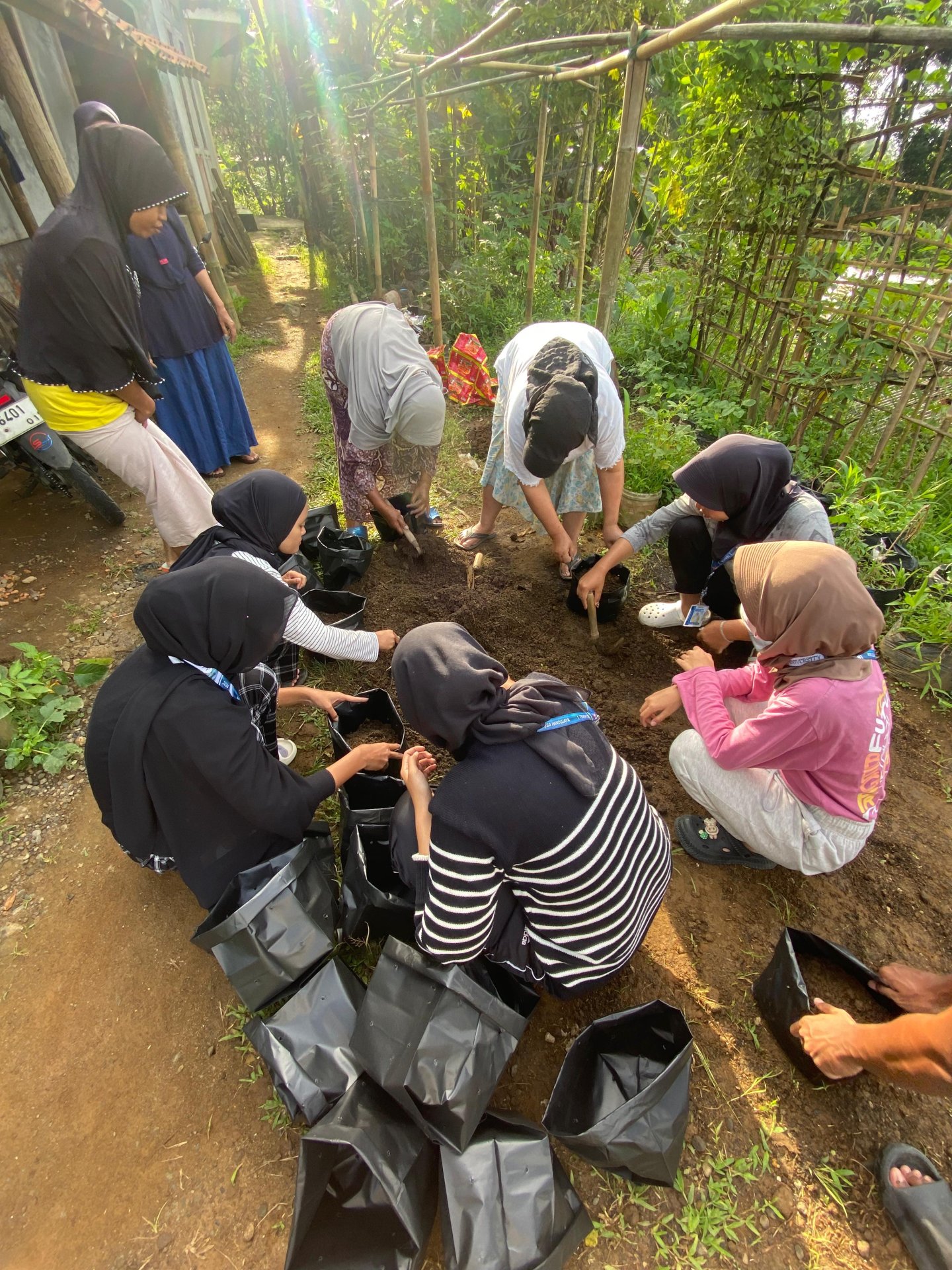 KEGIATAN INTENSIFIKASI PEKARANGAN BERSAMA IBU KWT