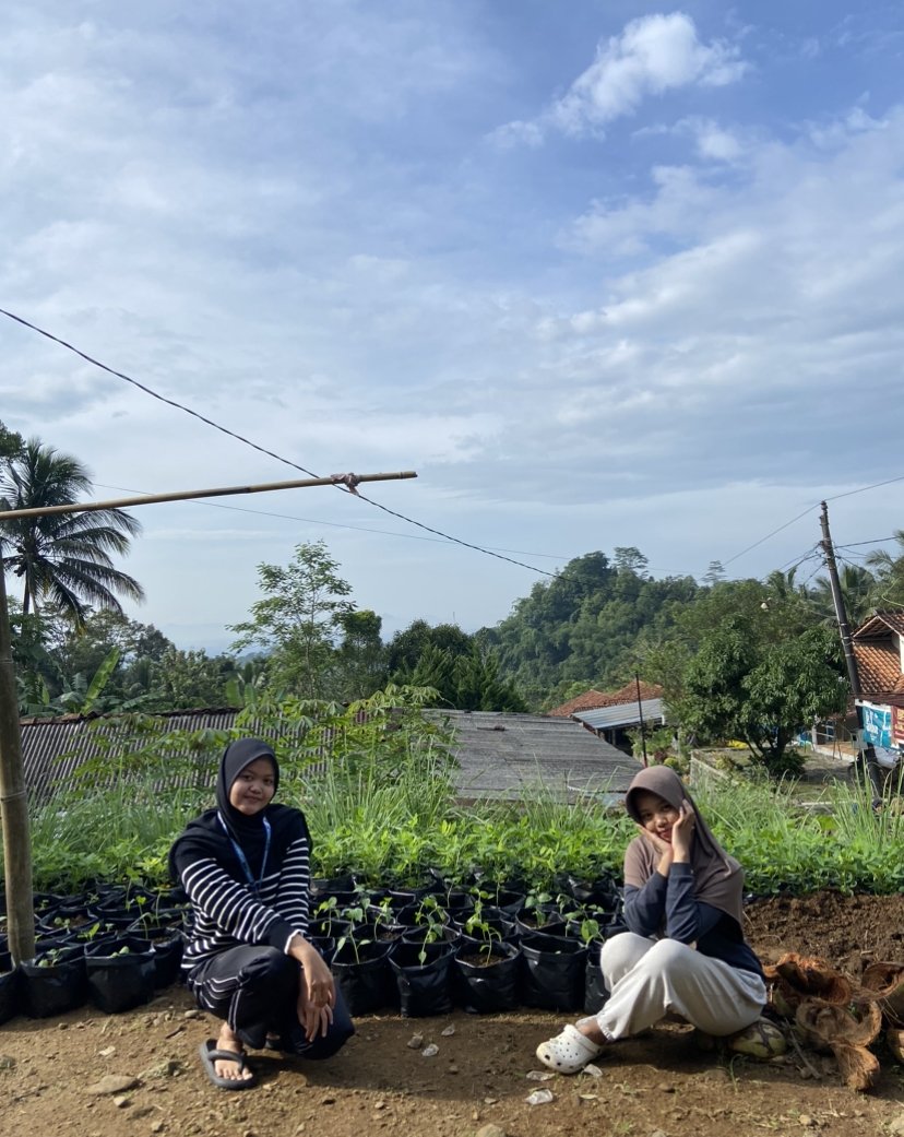 Intensifikasi Tanaman di Halaman Rumah Anggota KWT