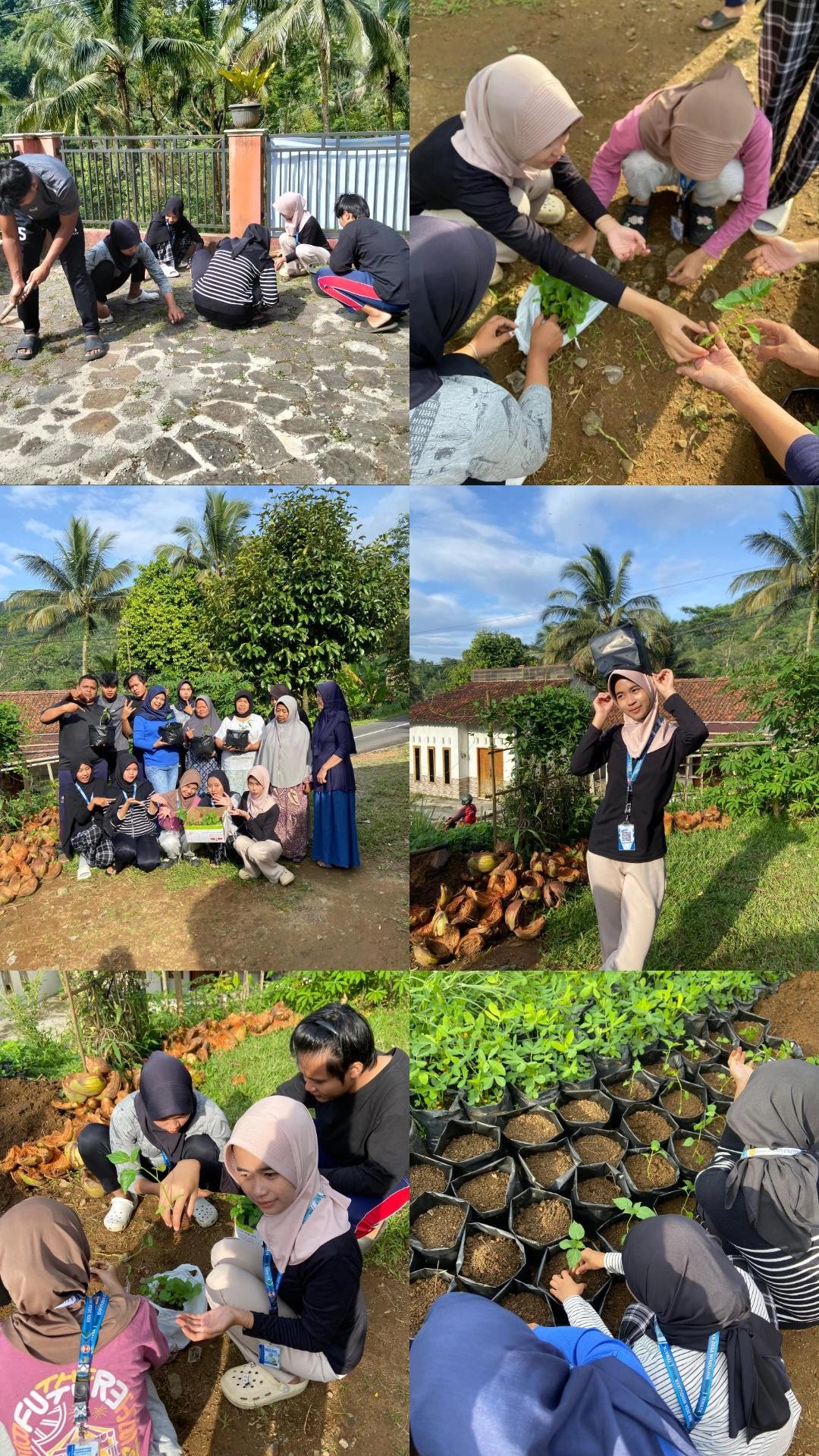 Intensifikasi pekarangan