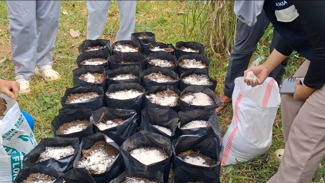 Penanaman Bibit Tanaman dan Sosialisasi Alat Sampah Minim Asap