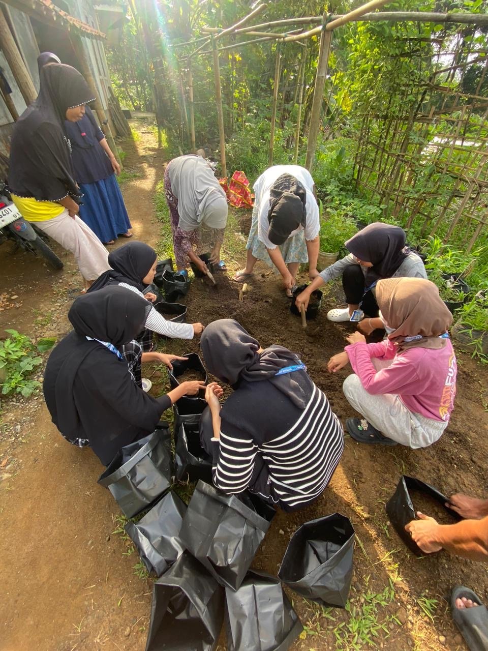 Intensifikasi Pekarangan melalui Penanaman Cabai & Terong Bersama KWT