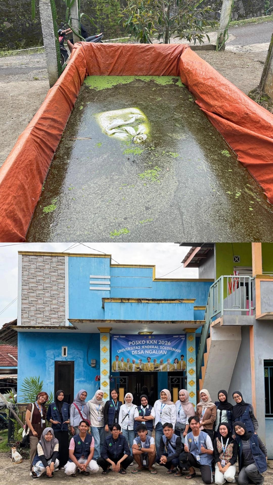 Monitoring Budidaya Azolla dan Kunjungan ke KKN Unsoed Desa Ngalian