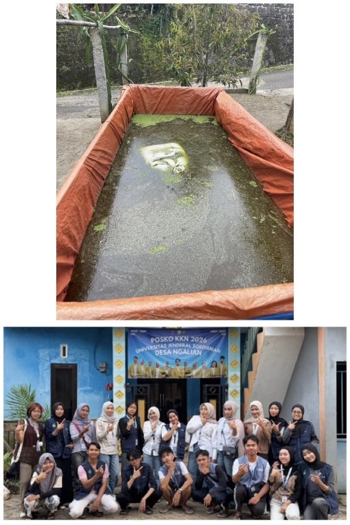 Monitoring Budidaya Azolla dan Sowan ke Posko KKN Desa Ngalian