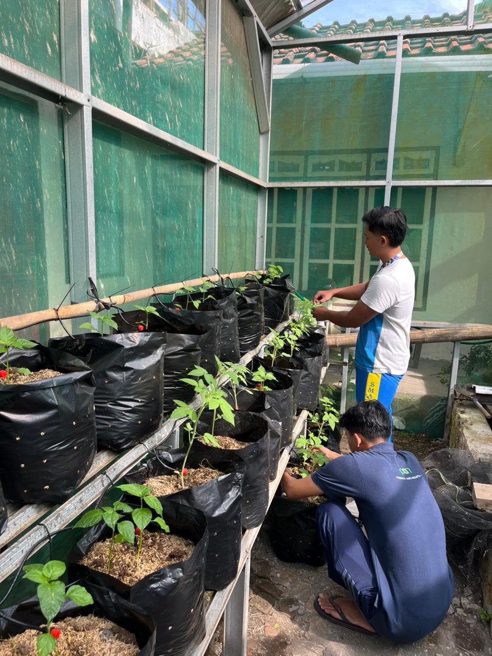 Kegiatan Hari Ke 19  Senam lansia