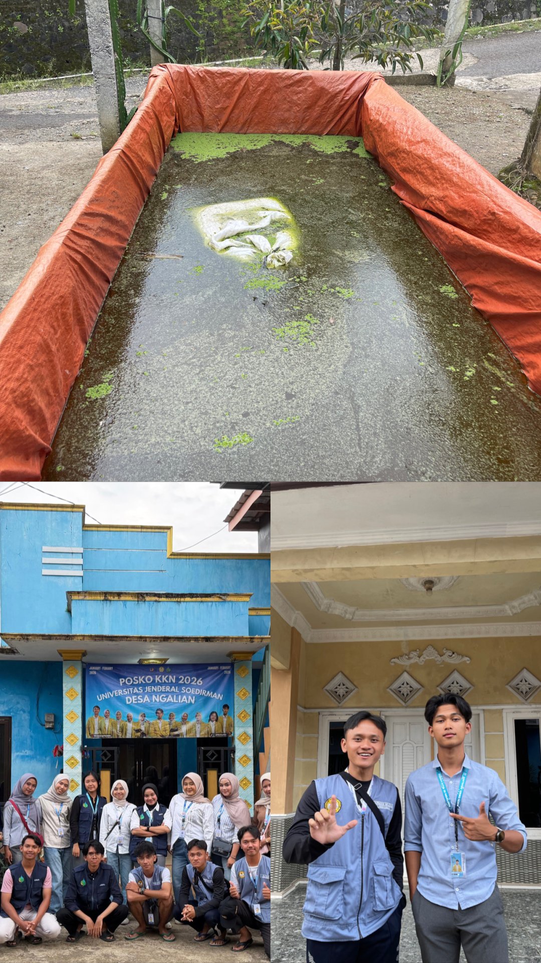 Monitoring perkembangan azolla dan berkunjung ke posko kkn unsoed desa ngalian