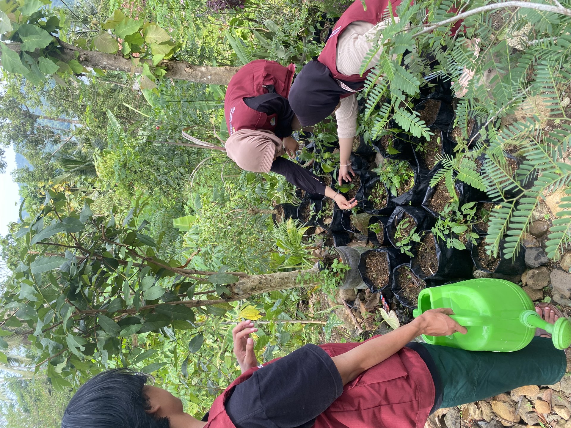 MELAKSANAKAN PROKER LINGKUNGAN PERAWATAN TANAMAN