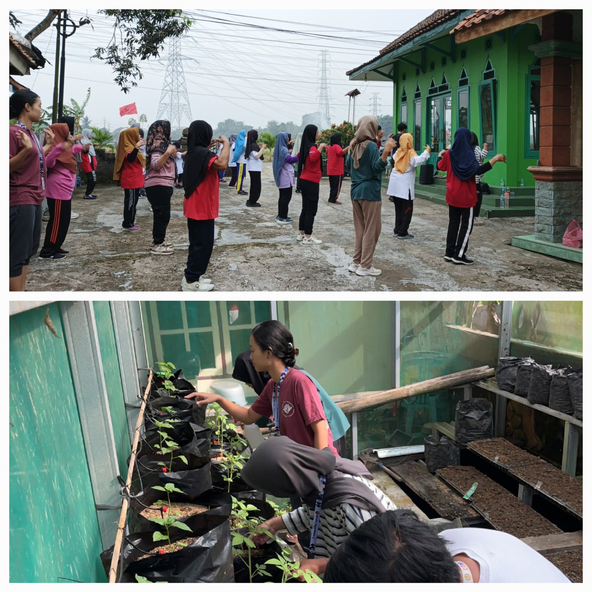 Kegiatan hari kesembilan belas : Mengikuti pemantauan irigasi tetes dan senam lansia
