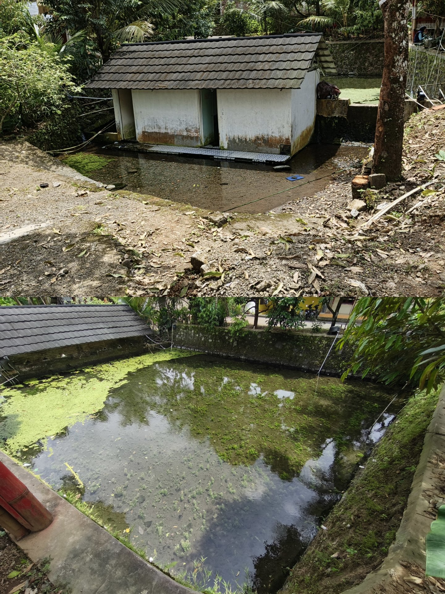 Pembaruan Fasilitas Umum Berbasis Google Maps