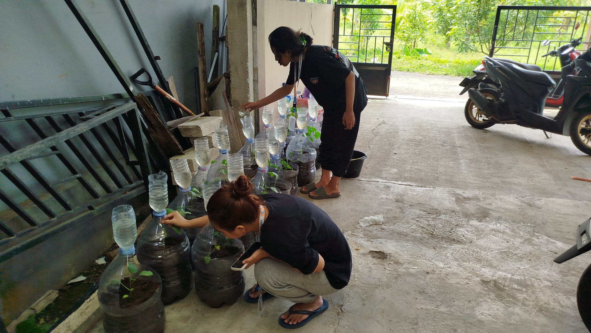 Piket Monitoring Tanaman