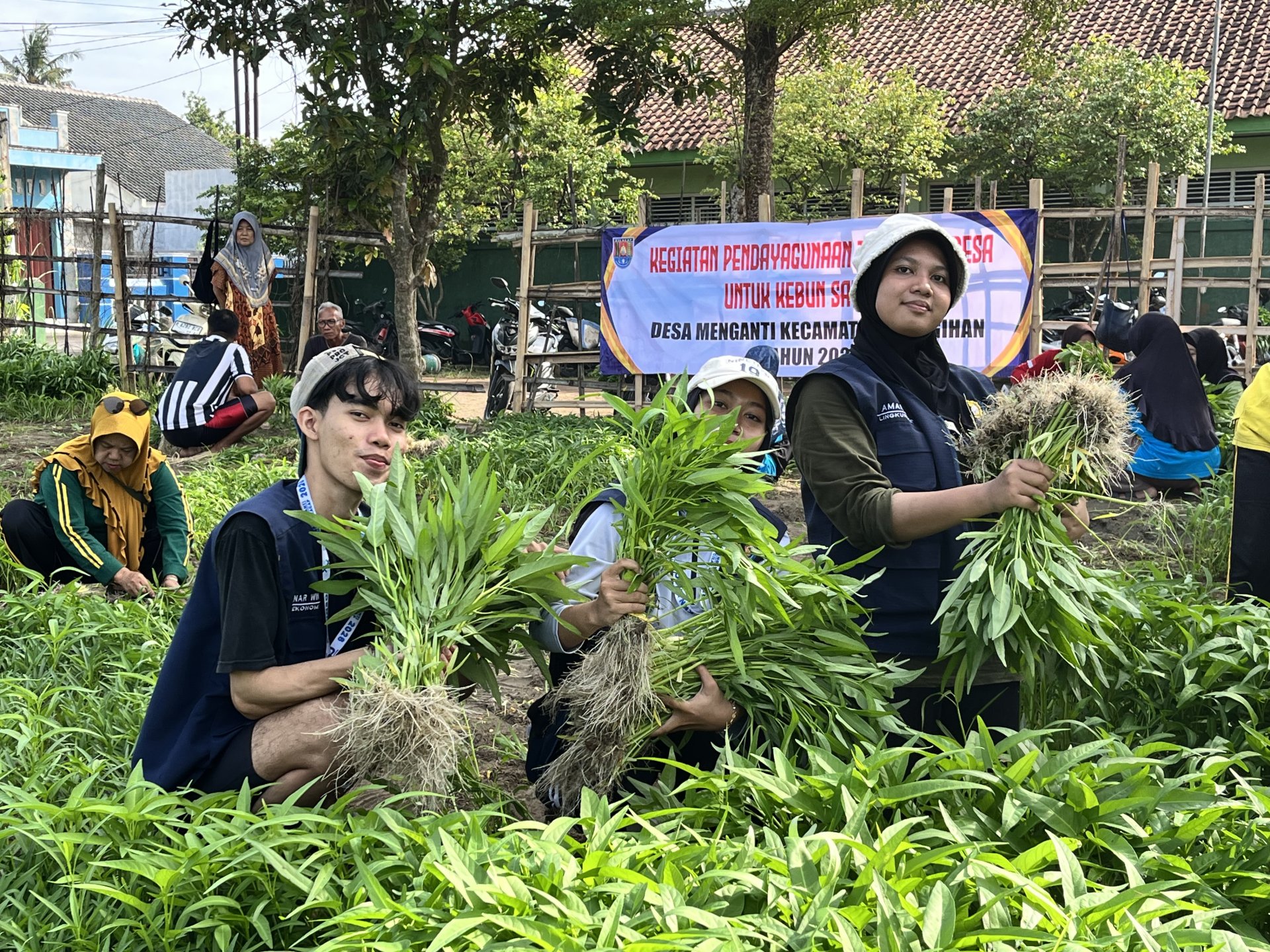 KKN Day 19 - Senam Pagi, Panen Kangkung & Monev